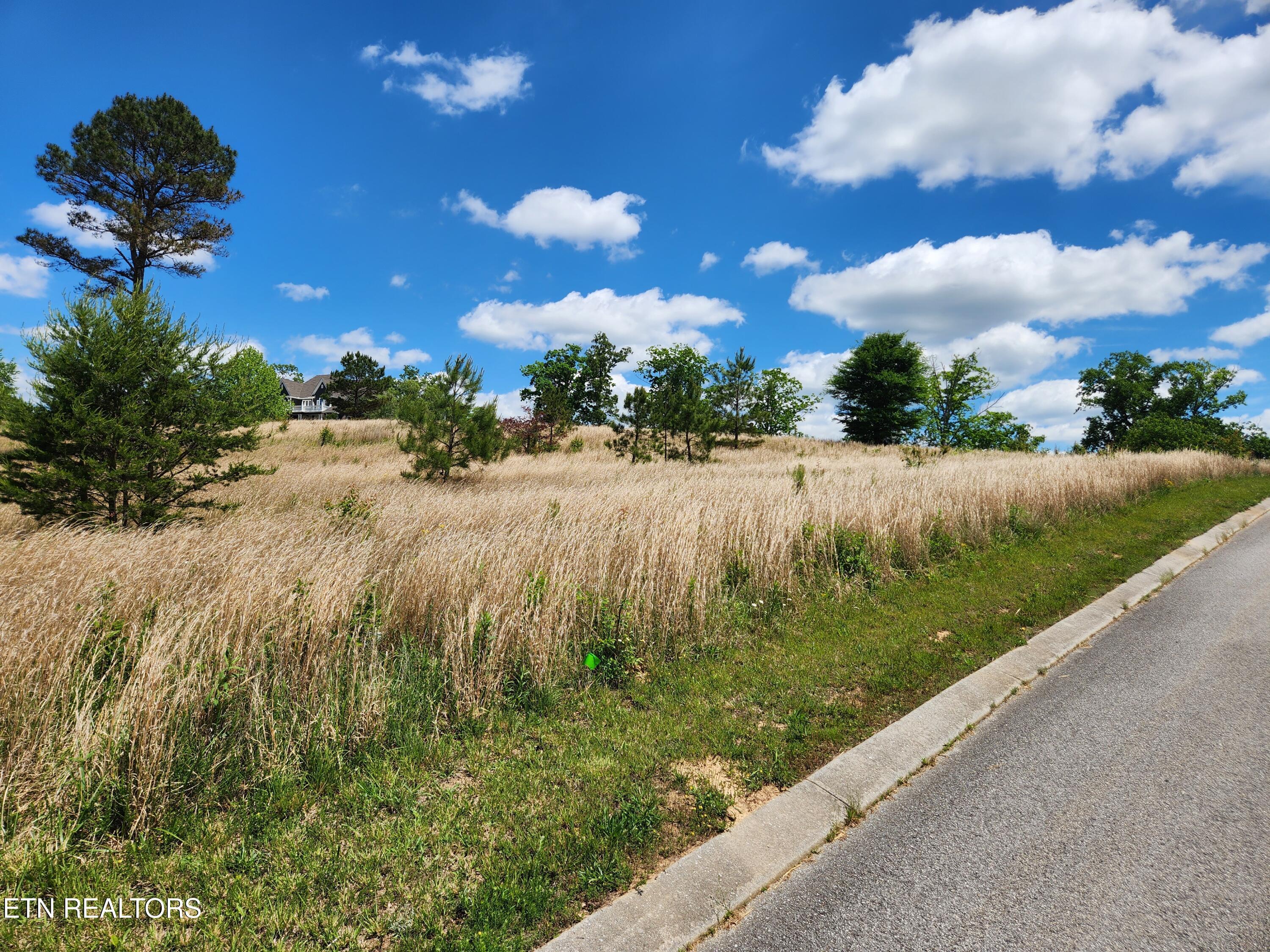 Oak Leaf Lot 71 Drive, Loudon, TN - Fort Loudoun and Tellico Lake Real Estate - Image# 4