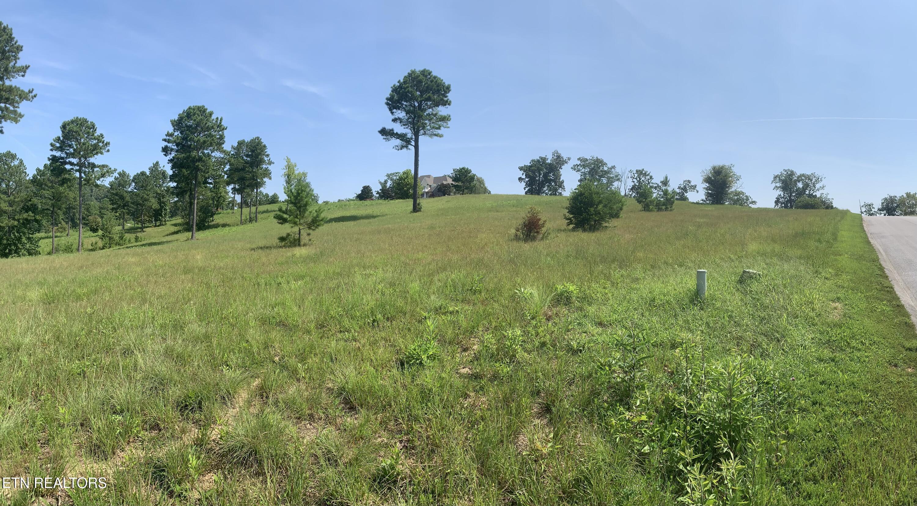 Oak Leaf Lot 71 Drive, Loudon, TN - Fort Loudoun and Tellico Lake Real Estate - Image# 14