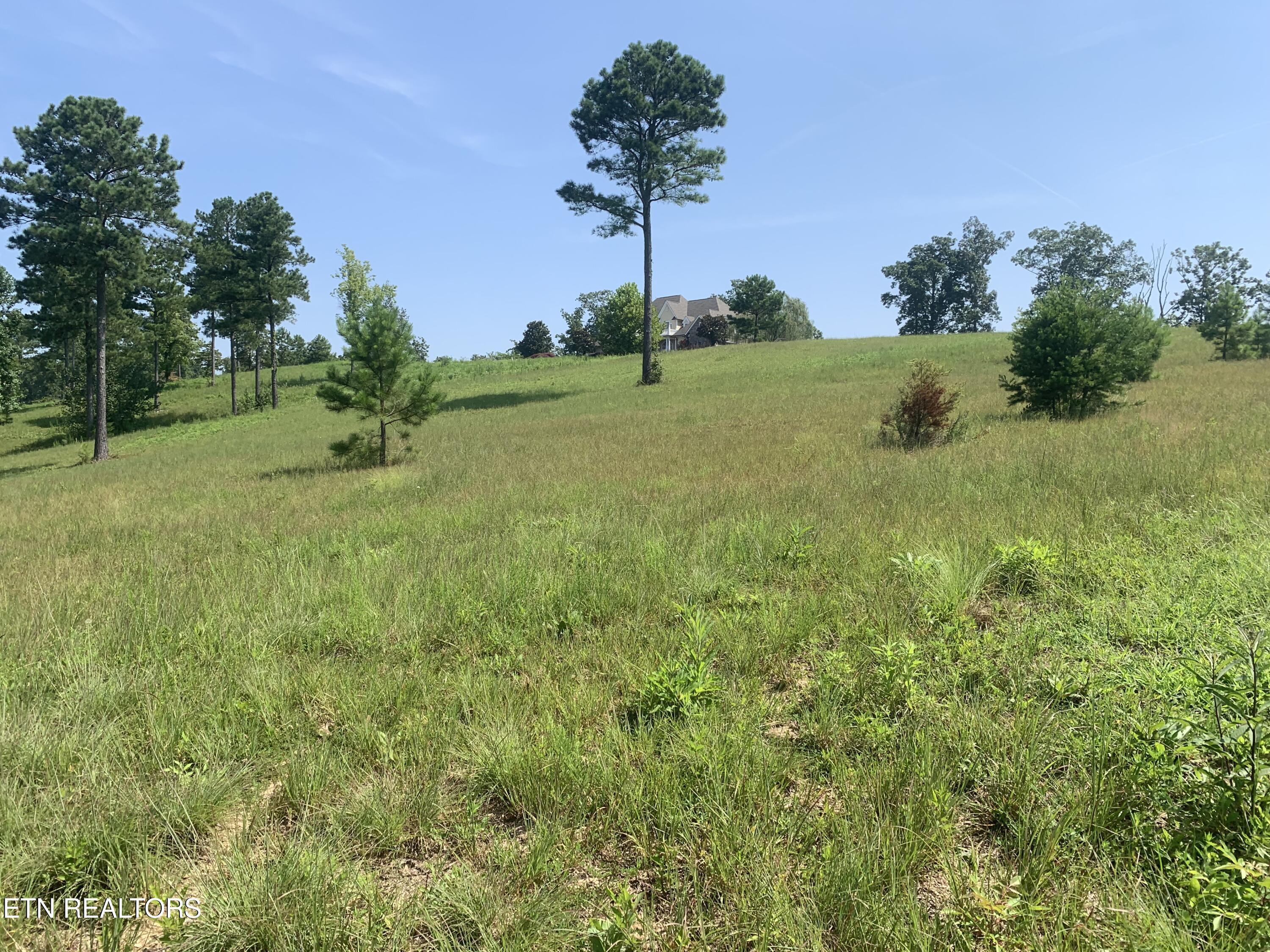 Oak Leaf Lot 71 Drive, Loudon, TN - Fort Loudoun and Tellico Lake Real Estate - Image# 15