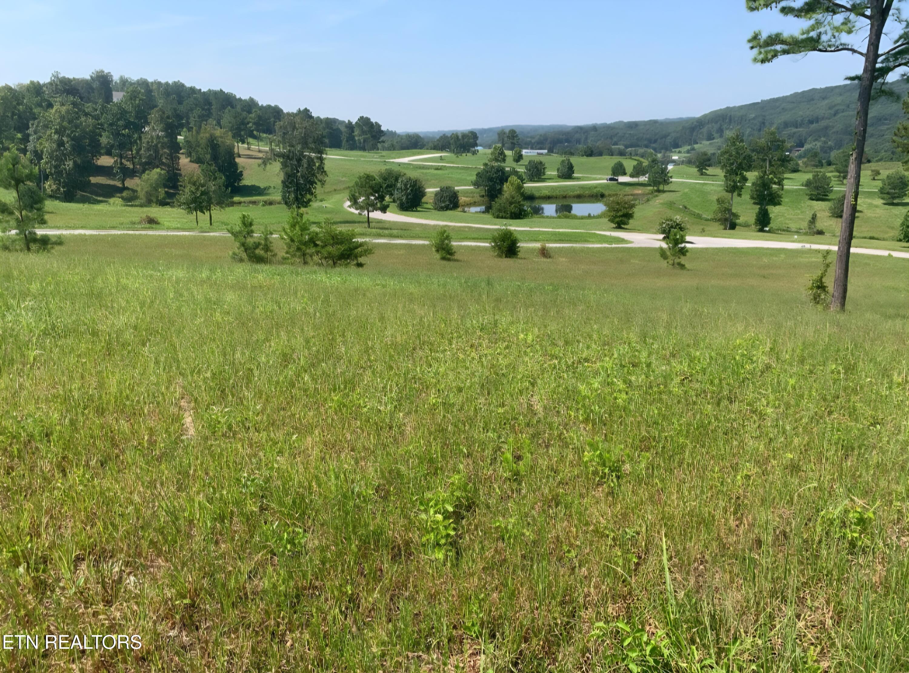 Oak Leaf Lot 71 Drive, Loudon, TN - Fort Loudoun and Tellico Lake Real Estate - Image# 16