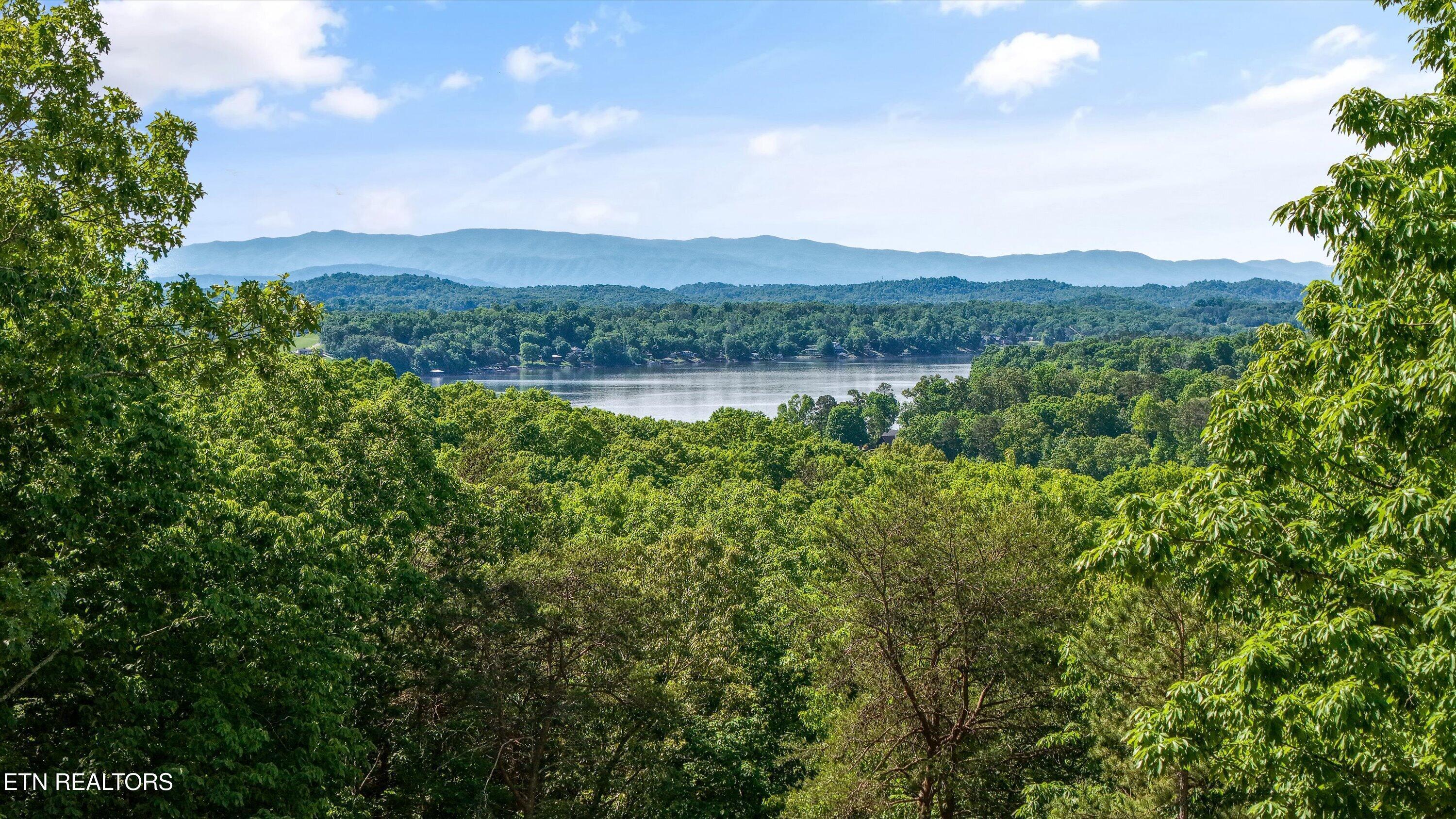 Fort Loudoun and Tellico Lake Real Estate - Image# 38
