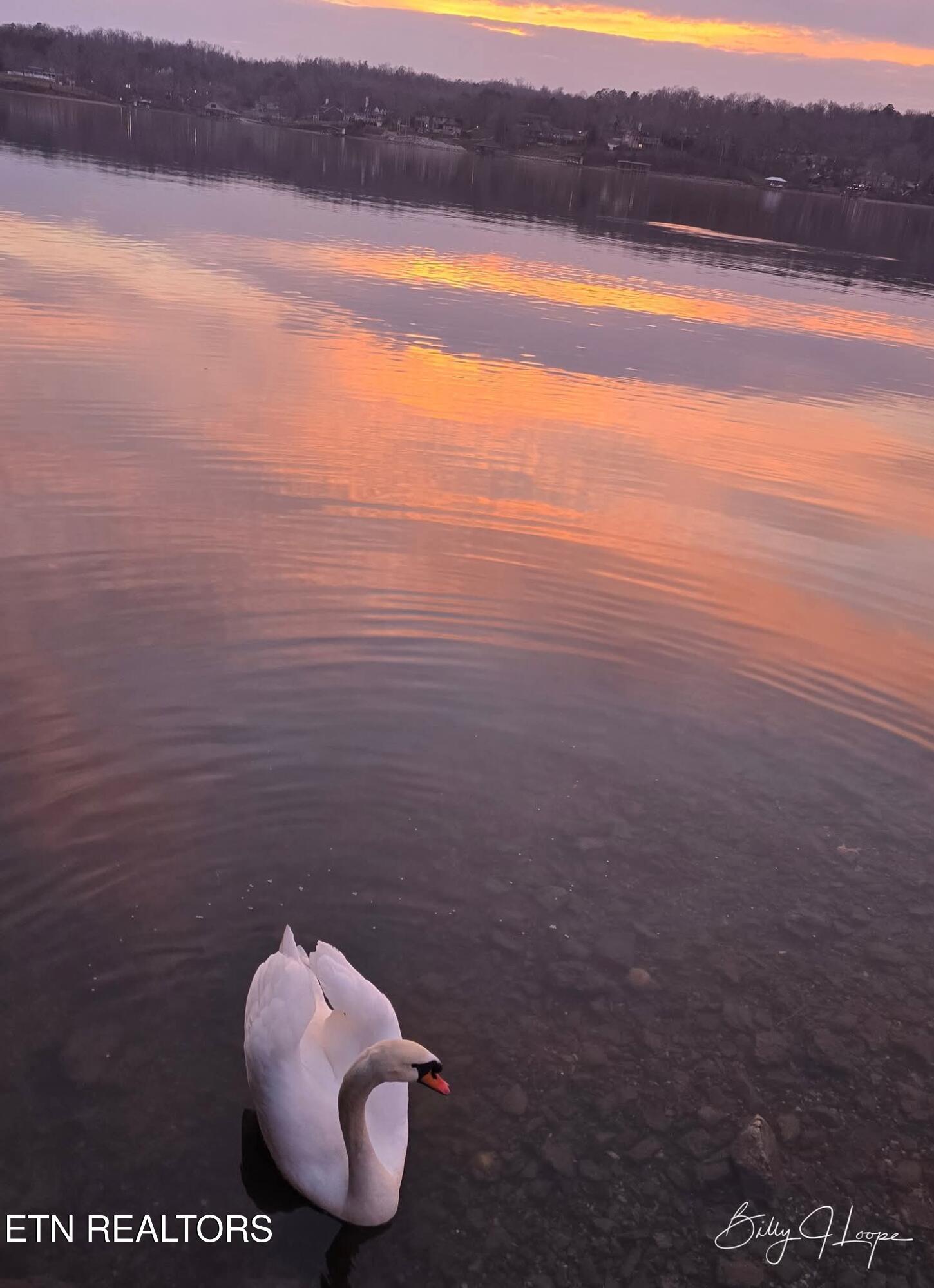 Fort Loudoun and Tellico Lake Real Estate - Image# 52
