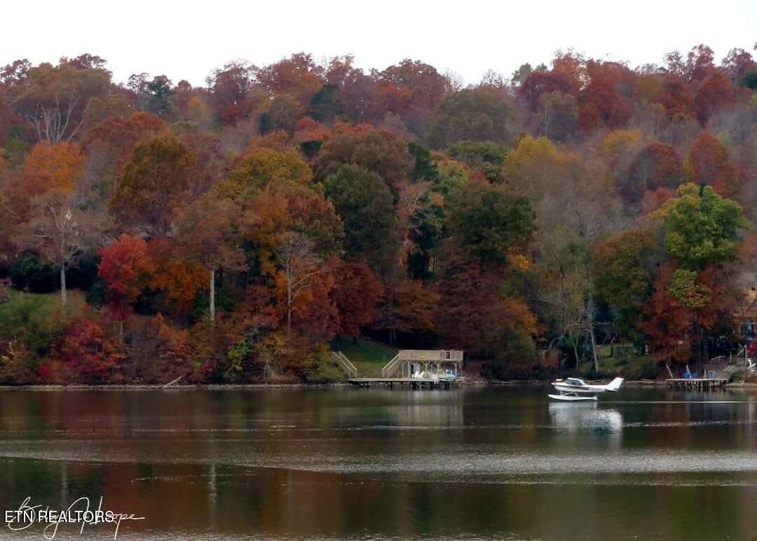903 Frontier Circle, Friendsville, TN - Fort Loudoun and Tellico Lake Real Estate - Image# 60