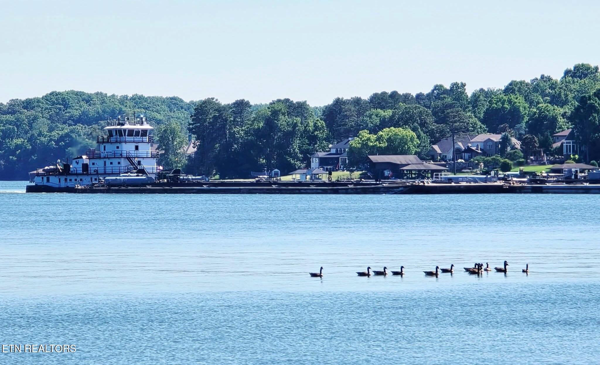 Fort Loudoun and Tellico Lake Real Estate - Image# 62