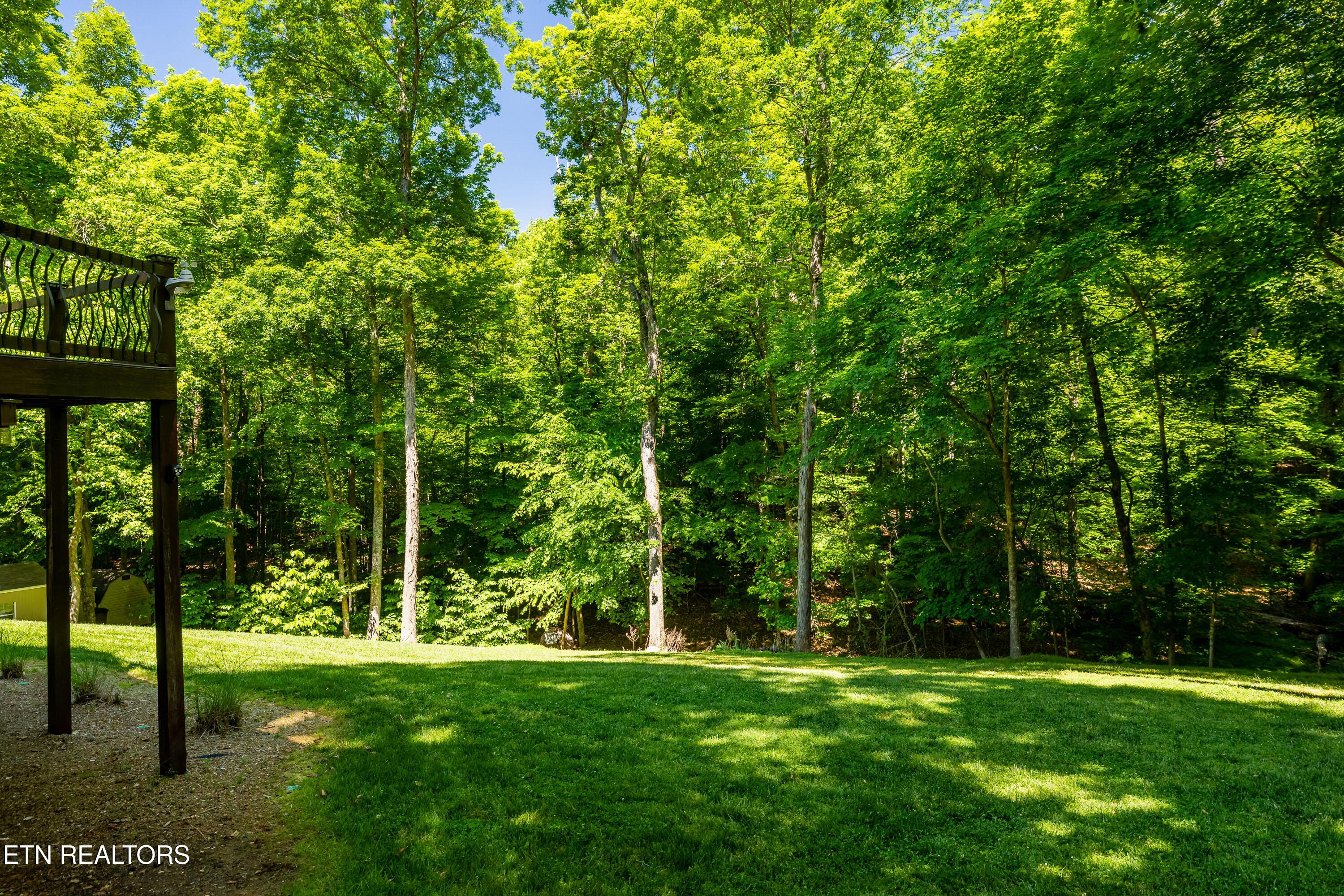 Fort Loudoun and Tellico Lake Real Estate - Image# 11