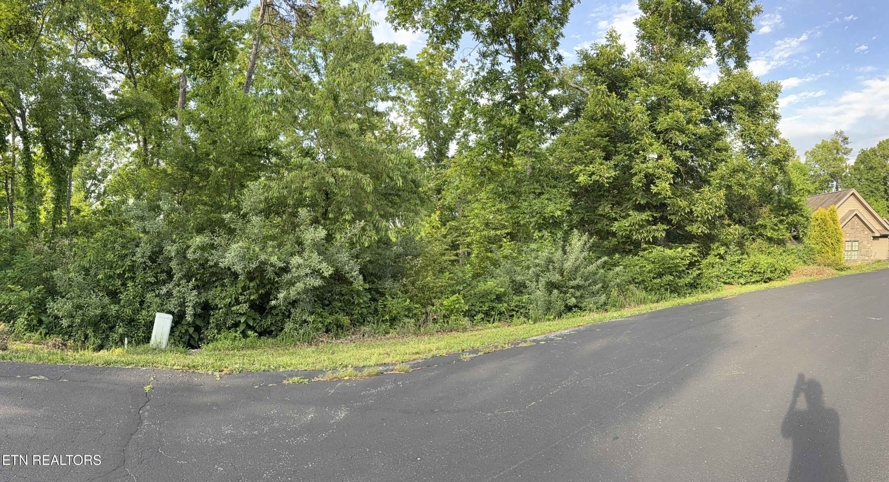 312 Skiatook Circle, Loudon, TN