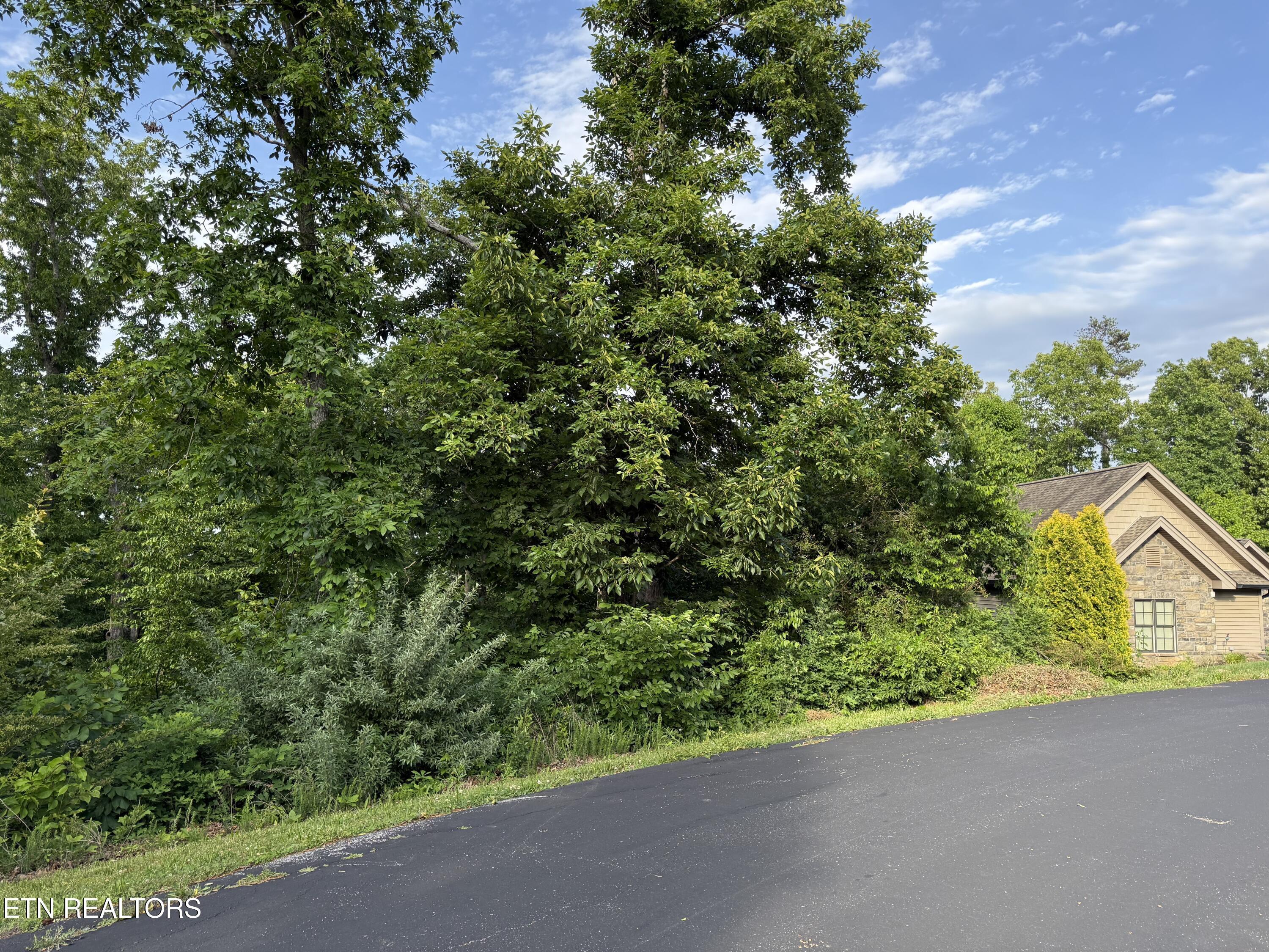 312 Skiatook Circle, Loudon, TN - Fort Loudoun and Tellico Lake Real Estate - Image# 2