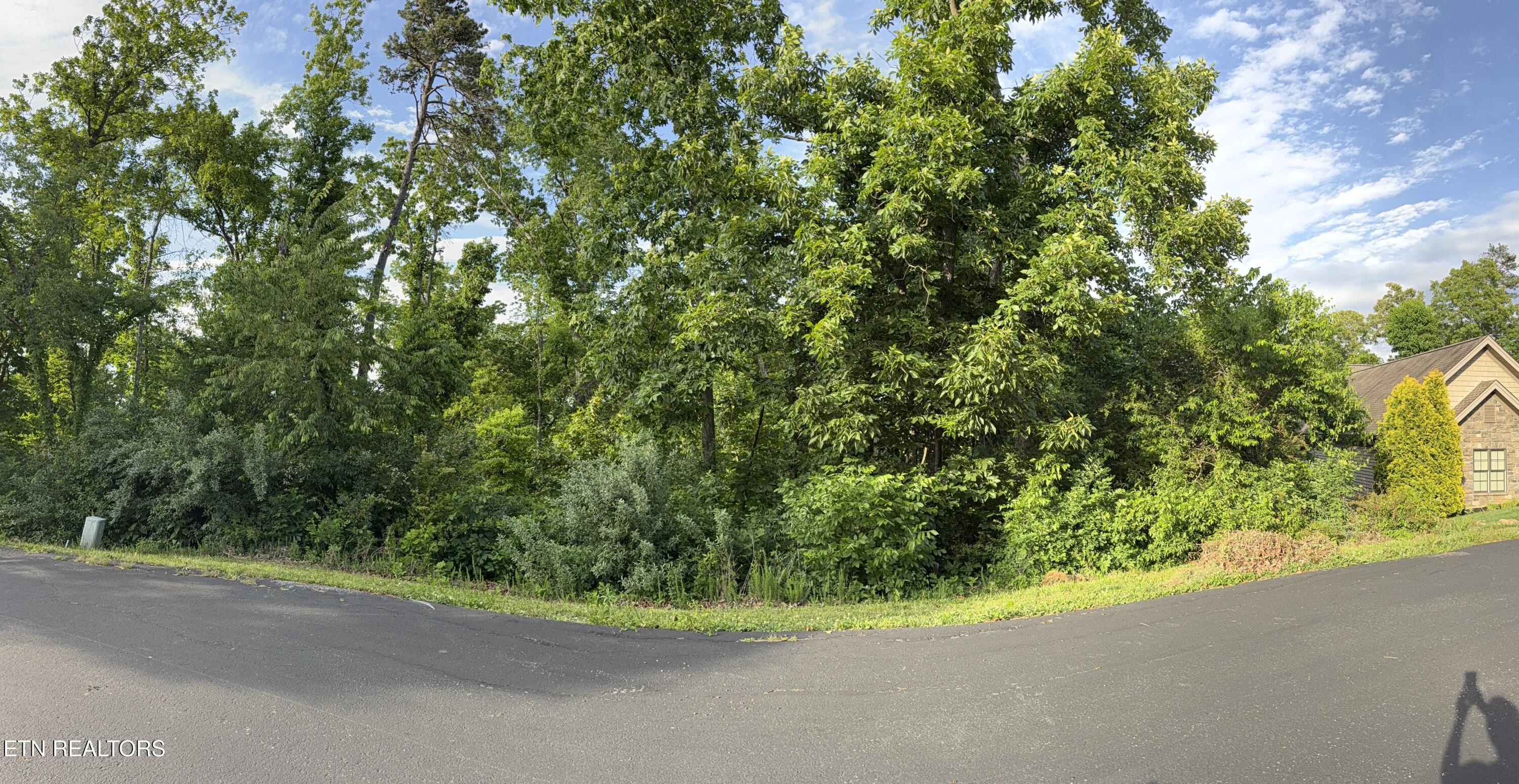 312 Skiatook Circle, Loudon, TN - Fort Loudoun and Tellico Lake Real Estate - Image# 3