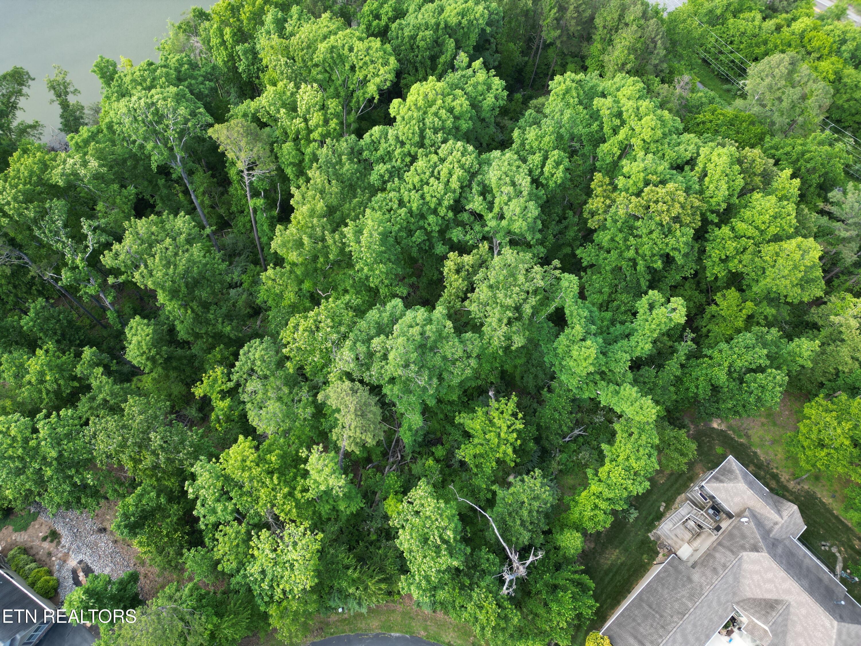 312 Skiatook Circle, Loudon, TN - Fort Loudoun and Tellico Lake Real Estate - Image# 5