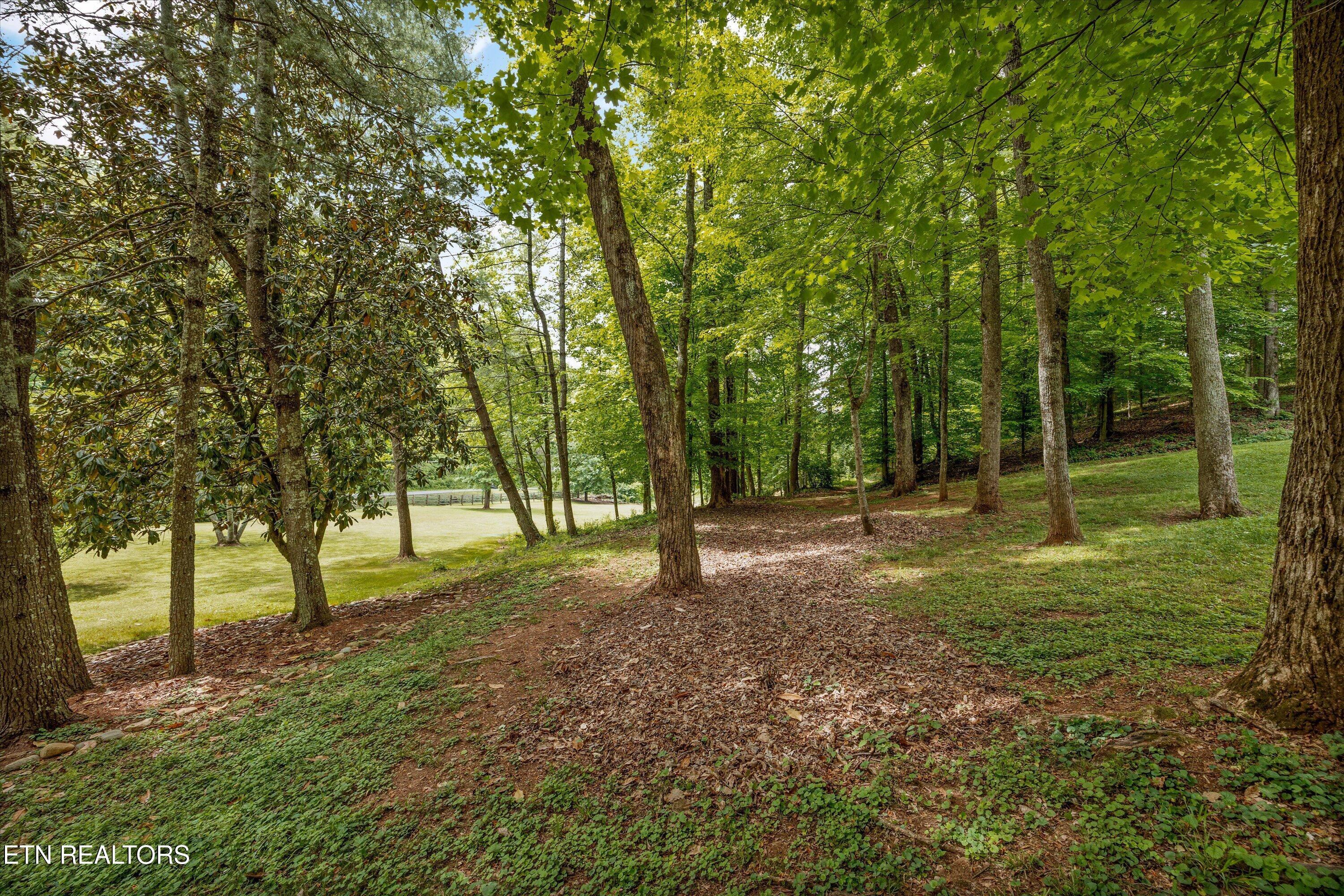 Fort Loudoun and Tellico Lake Real Estate - Image# 56