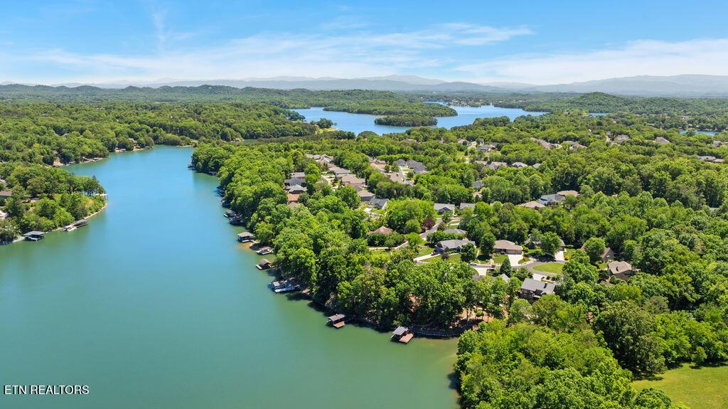 Fort Loudoun and Tellico Lake Real Estate - Image# 58