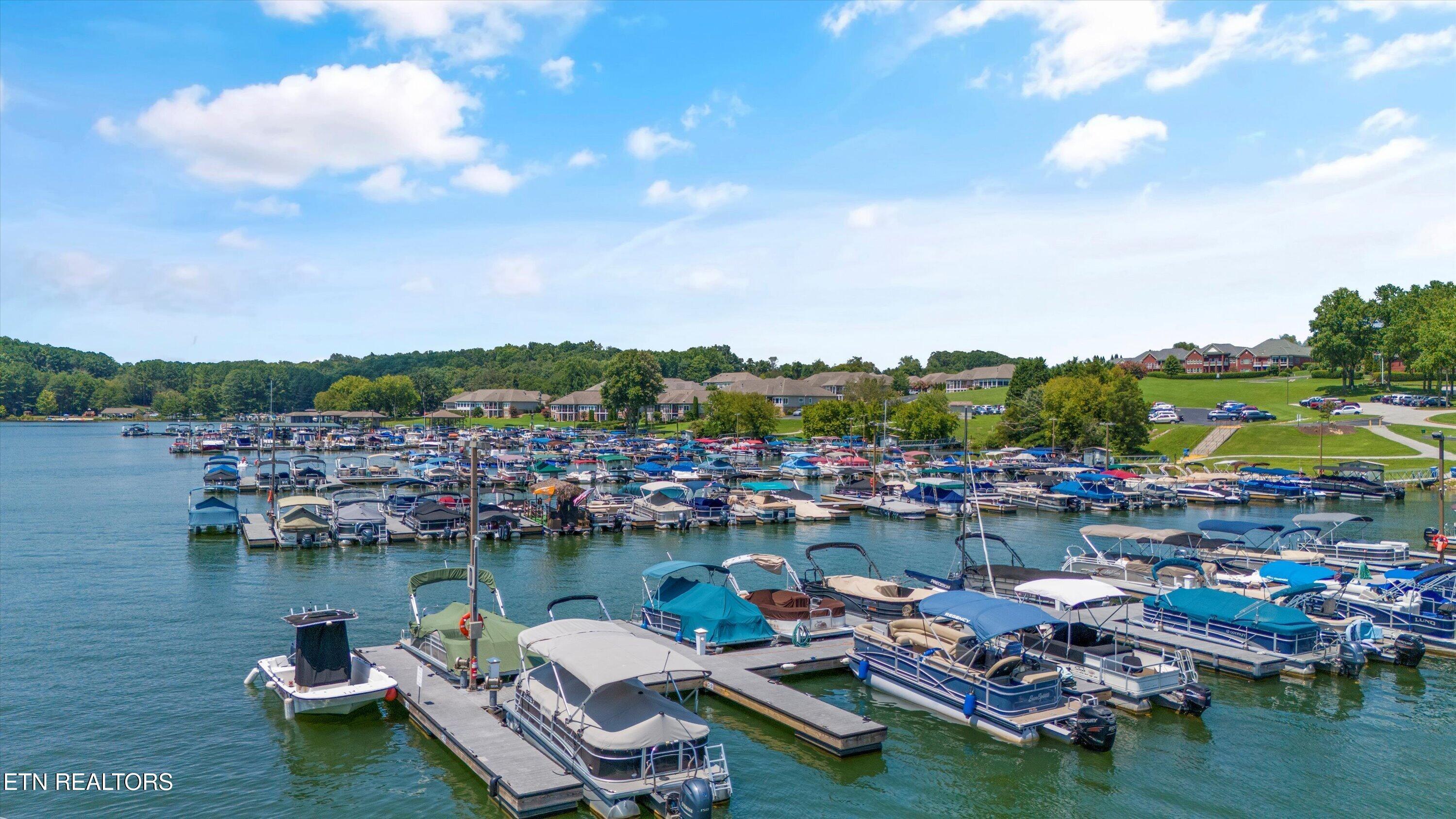 Fort Loudoun and Tellico Lake Real Estate - Image# 36