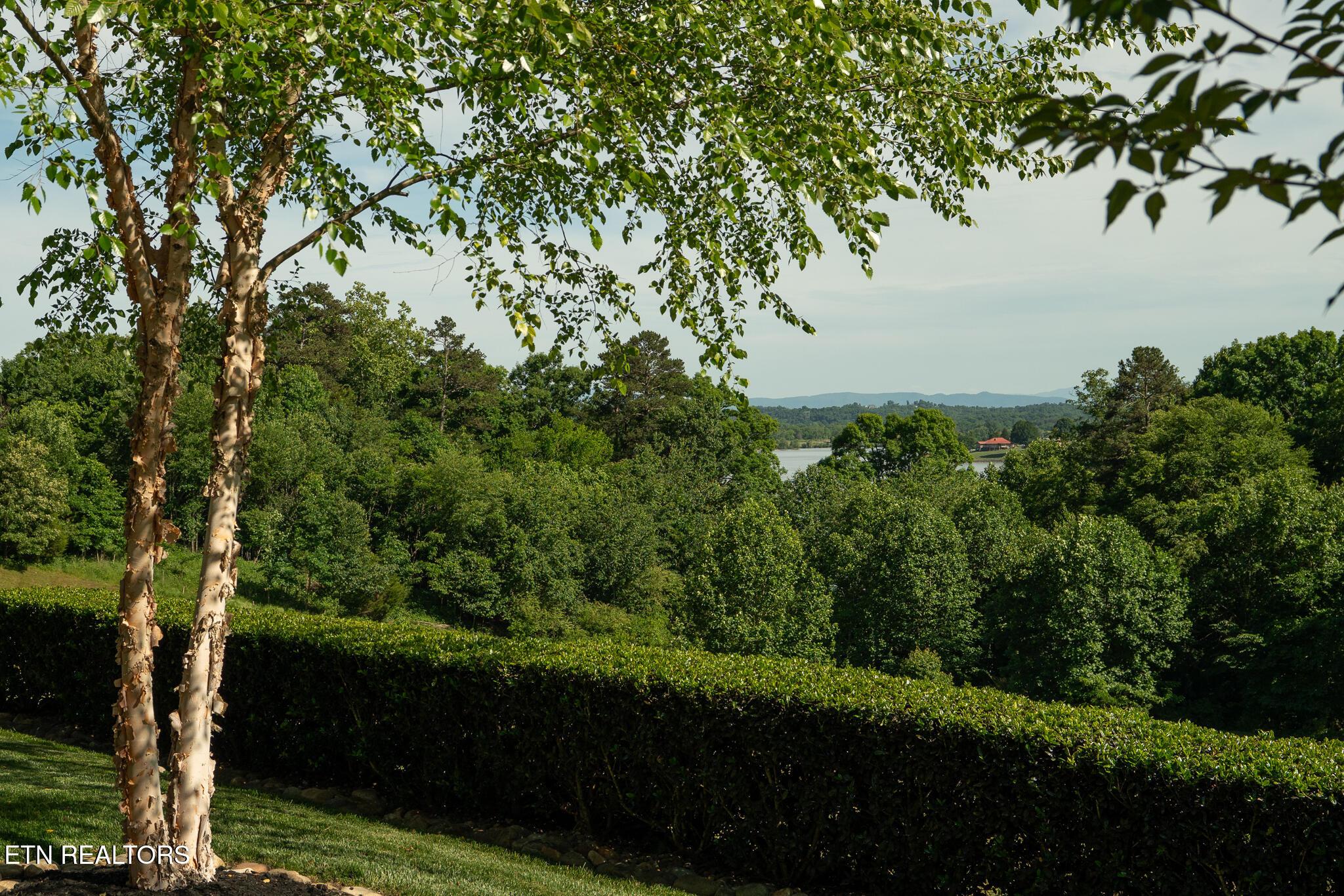 3115 Choto Highlands Way, Knoxville, TN - Fort Loudoun and Tellico Lake Real Estate - Image# 52