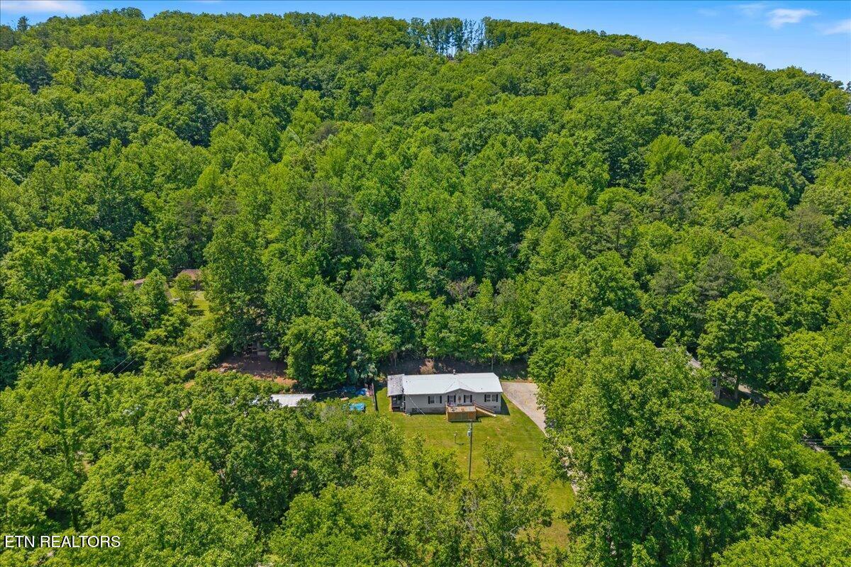 Fort Loudoun and Tellico Lake Real Estate - Image# 32
