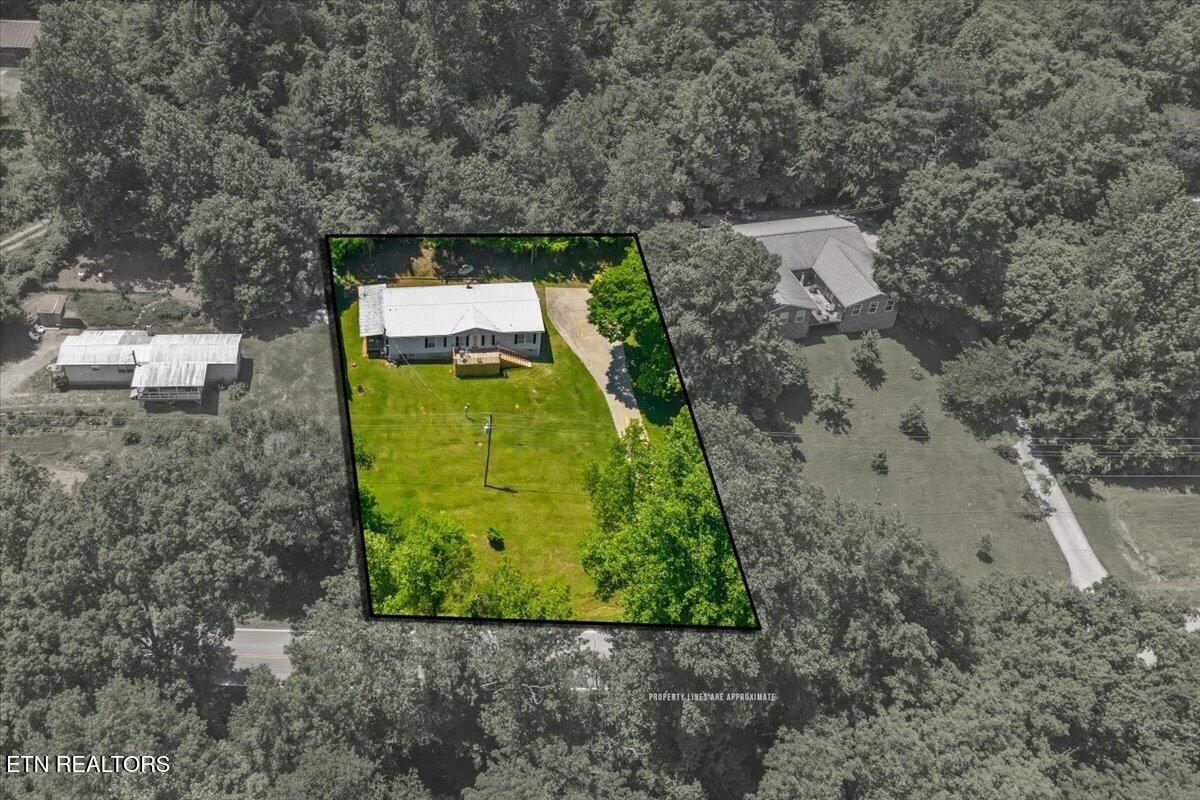 Fort Loudoun and Tellico Lake Real Estate - Image# 33