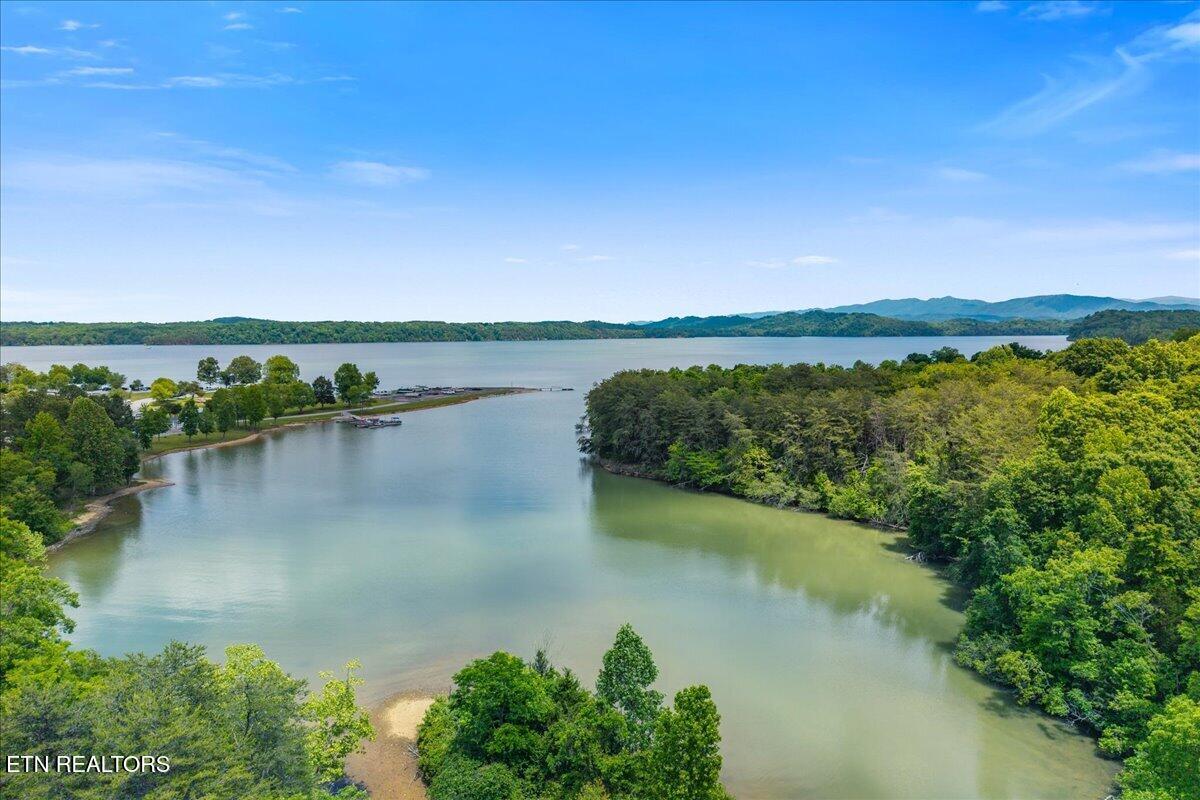 Fort Loudoun and Tellico Lake Real Estate - Image# 37