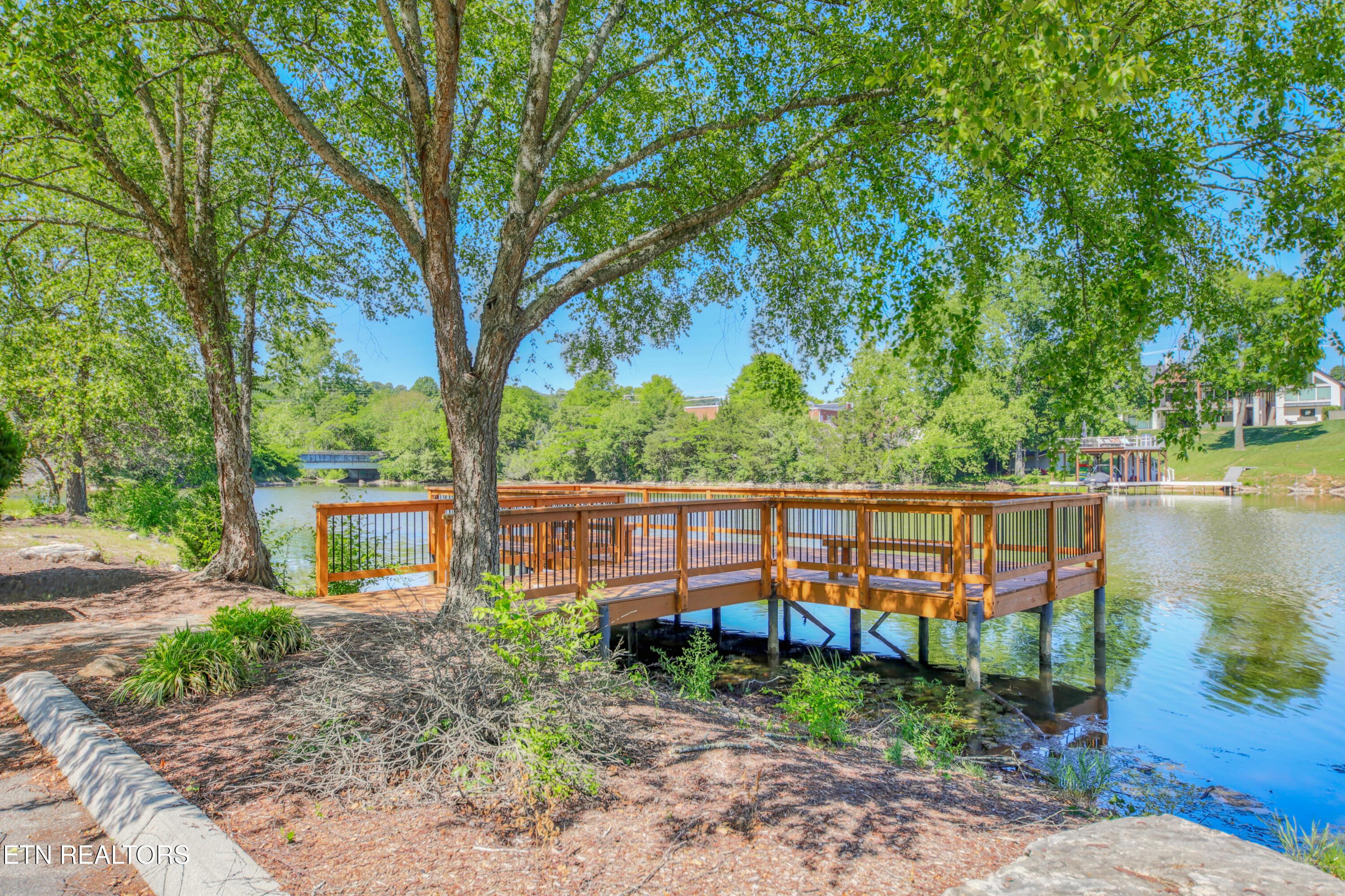 11119 Hatteras Drive, Knoxville, TN - Fort Loudoun and Tellico Lake Real Estate - Image# 48