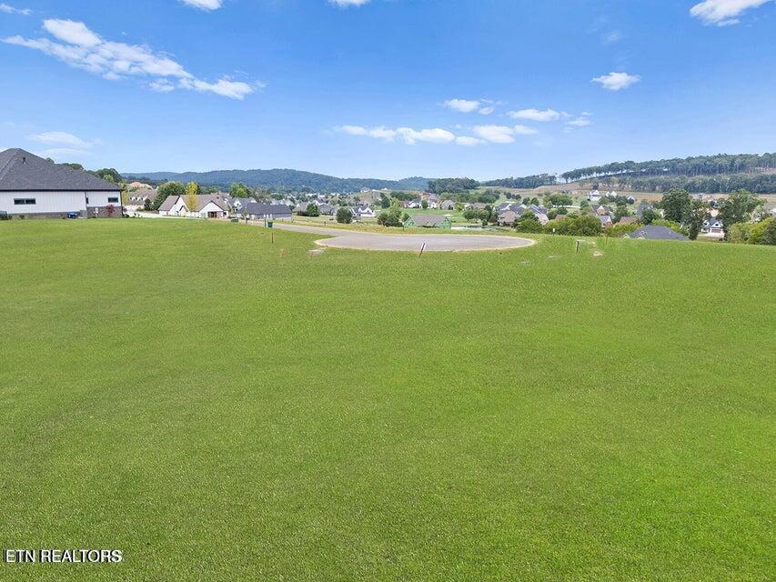 532 Ladybug Lane, Loudon, TN - Fort Loudoun and Tellico Lake Real Estate - Image# 8