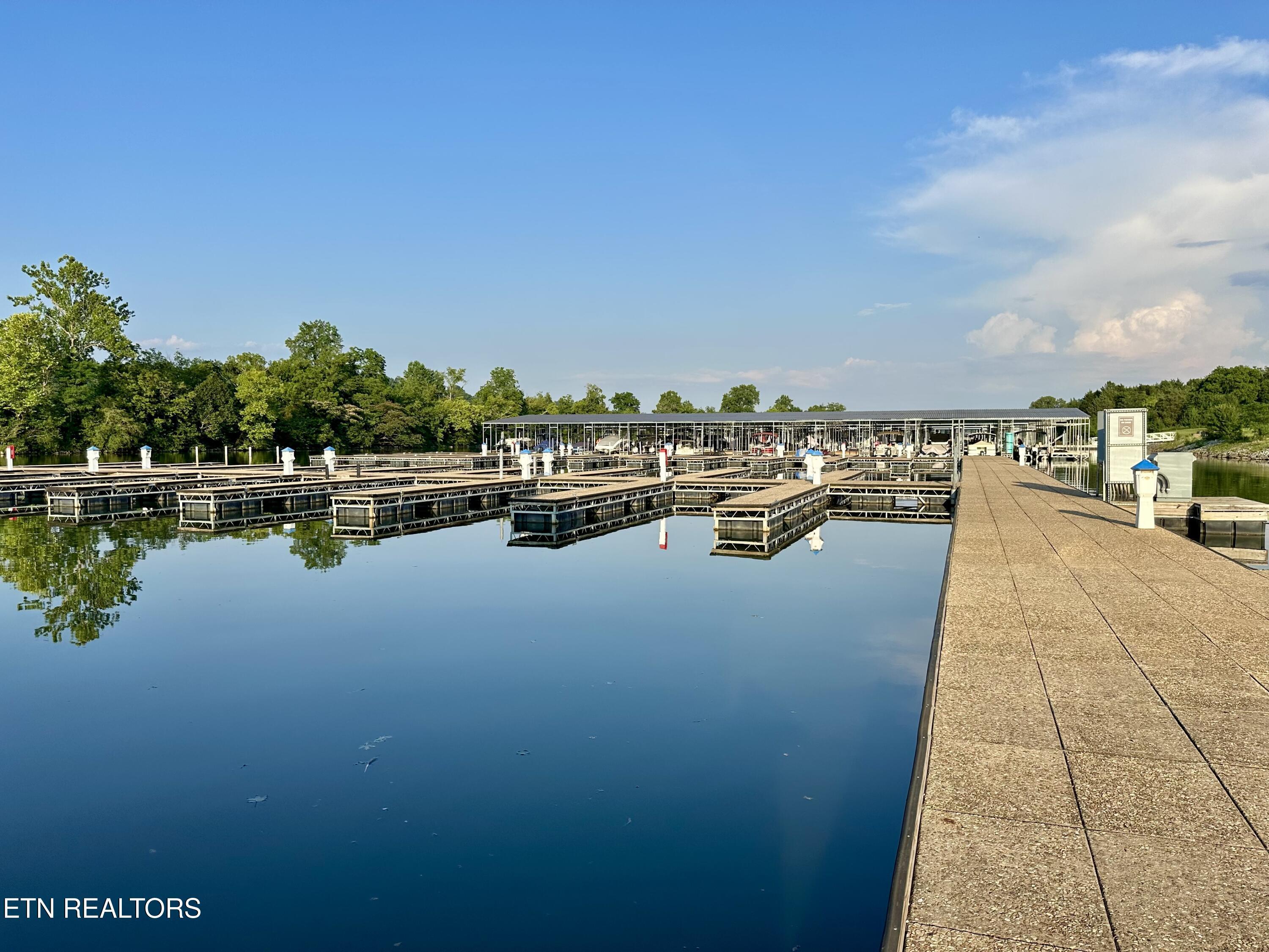 551 Firefly Drive, Loudon, TN - Fort Loudoun and Tellico Lake Real Estate - Image# 5