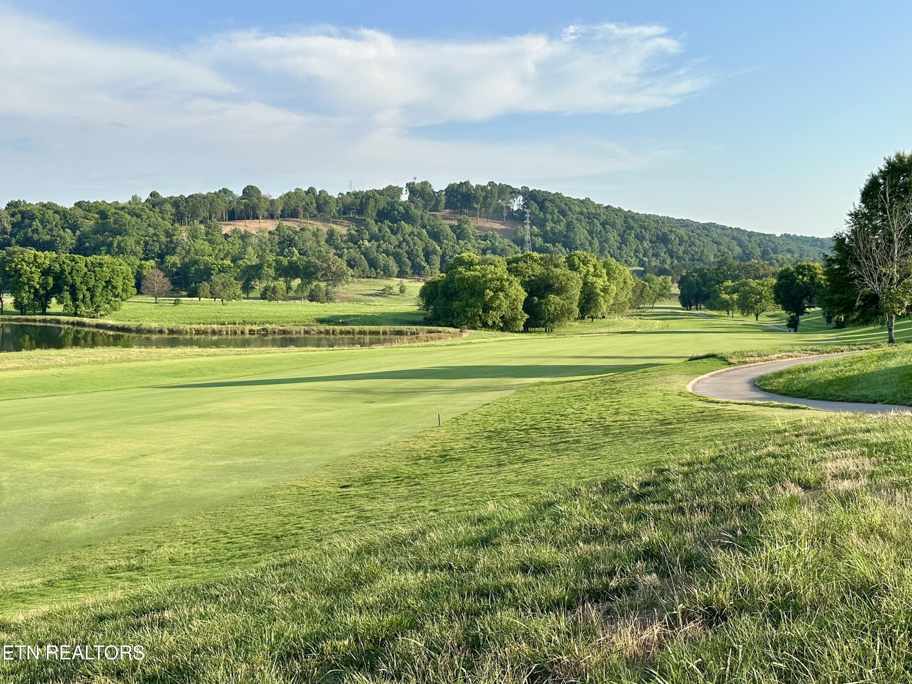 551 Firefly Drive, Loudon, TN - Fort Loudoun and Tellico Lake Real Estate - Image# 37