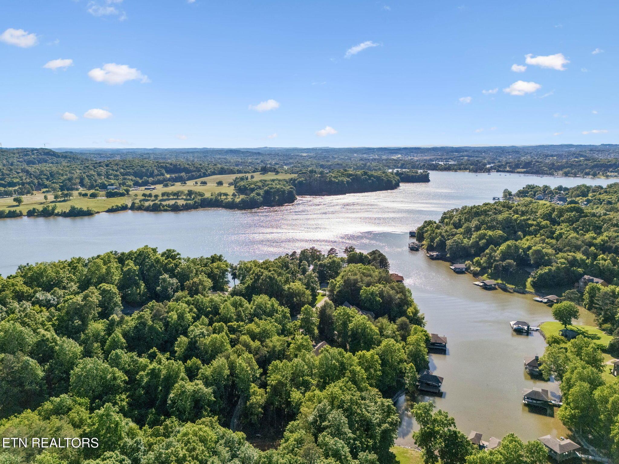 4451 Forrest Ridge Drive, Louisville, TN - Fort Loudoun and Tellico Lake Real Estate - Image# 45