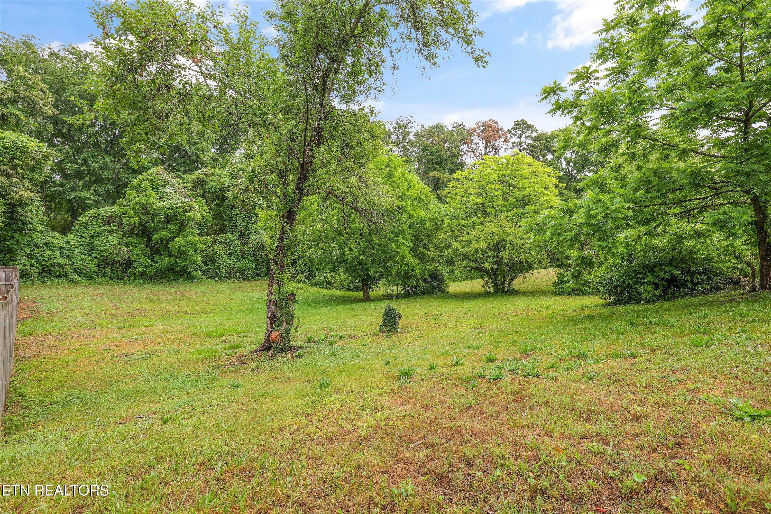 3046 Johnston Rd, Louisville, TN - Fort Loudoun and Tellico Lake Real Estate - Image# 26