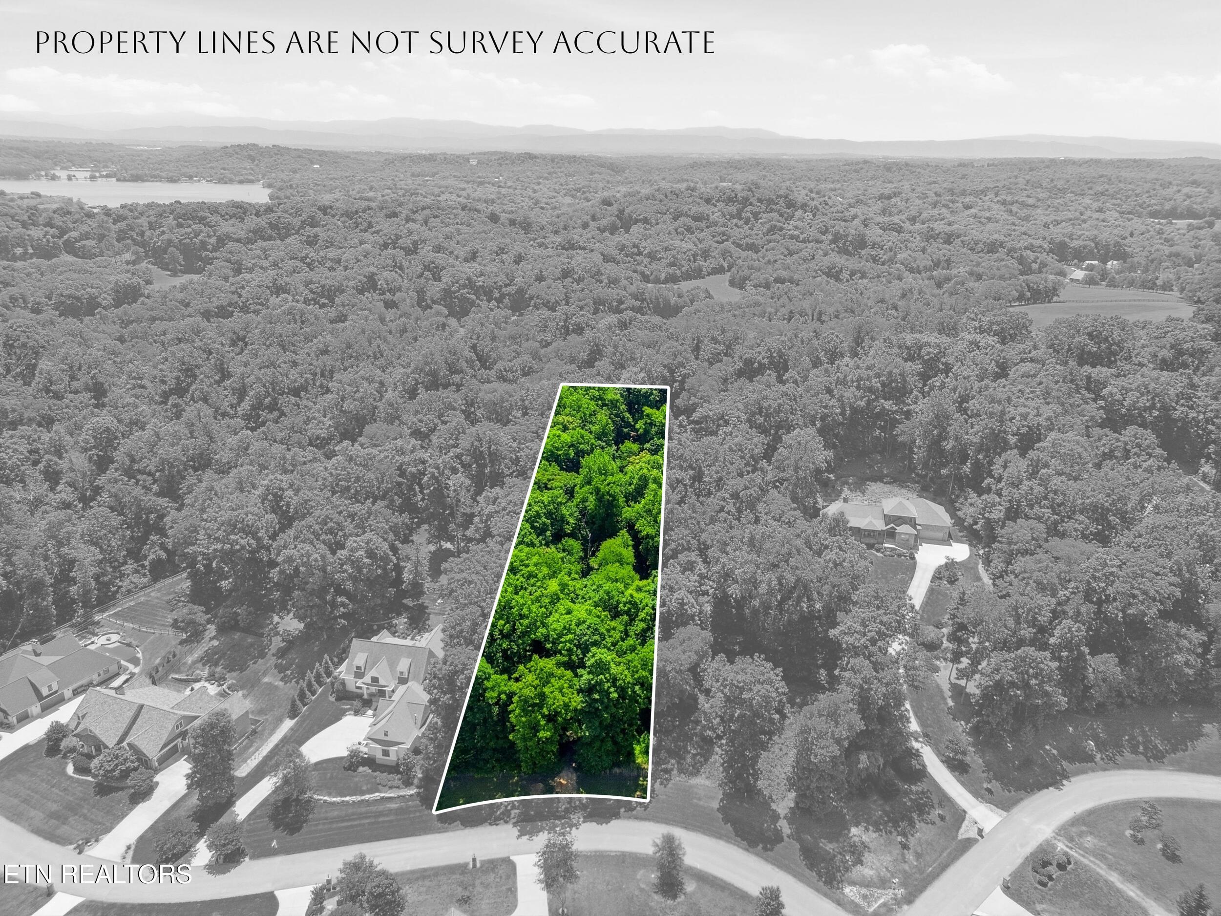 Fort Loudoun and Tellico Lake Real Estate - Image# 2