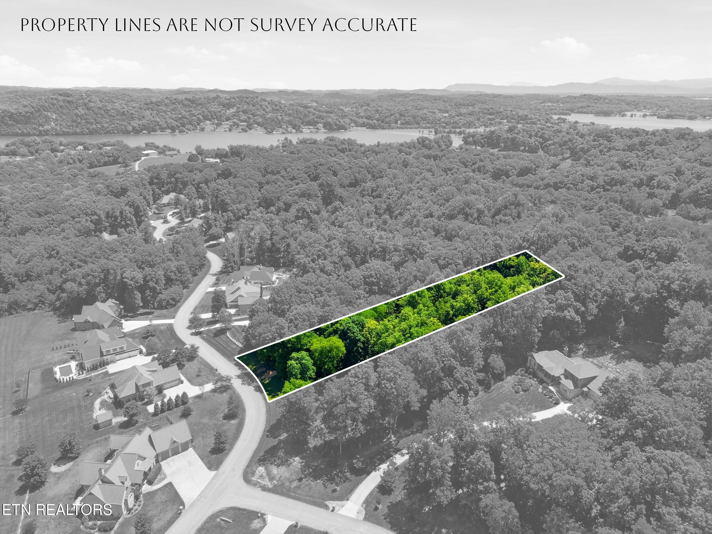 Fort Loudoun and Tellico Lake Real Estate - Image# 4