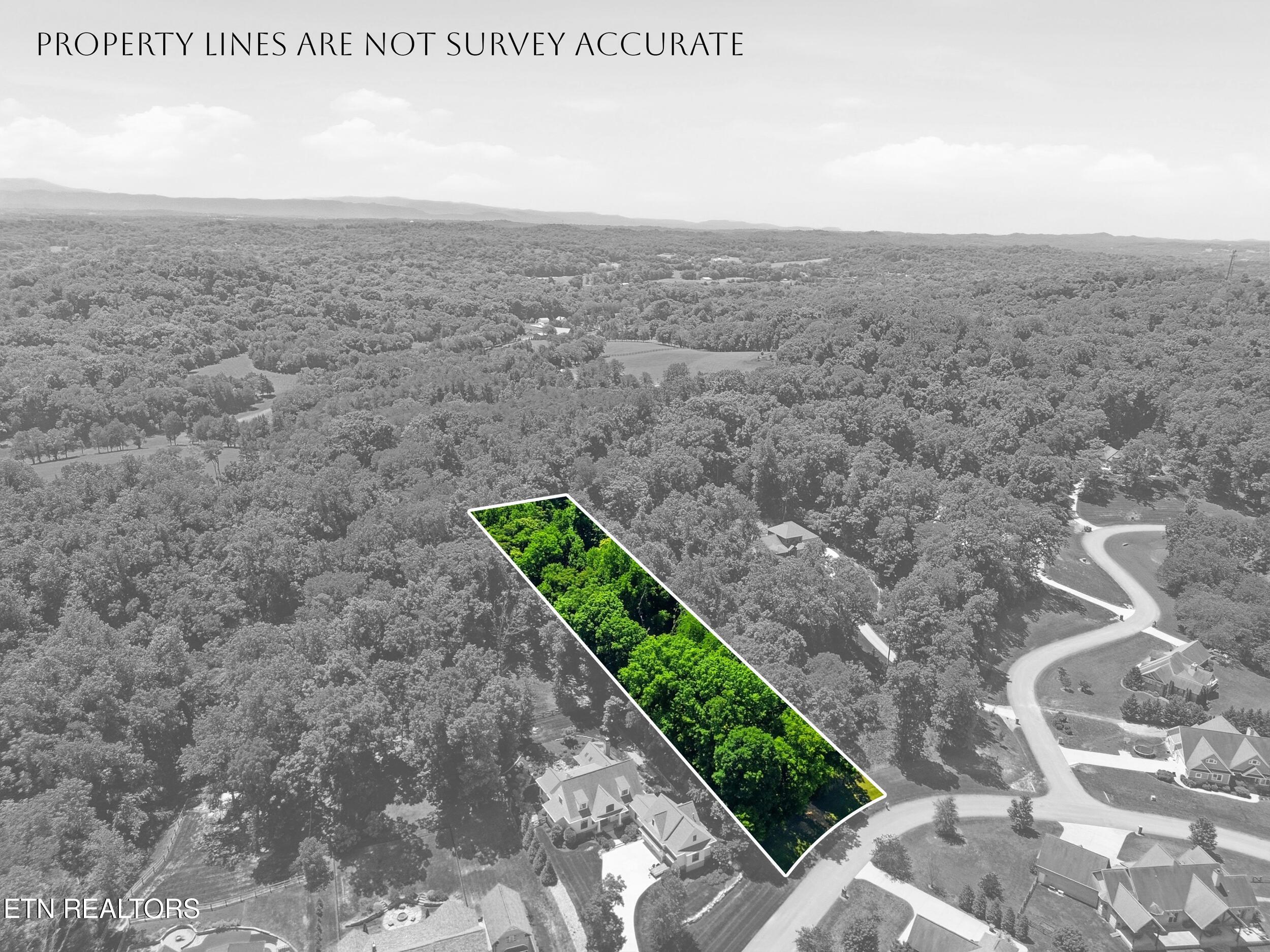 Fort Loudoun and Tellico Lake Real Estate - Image# 5