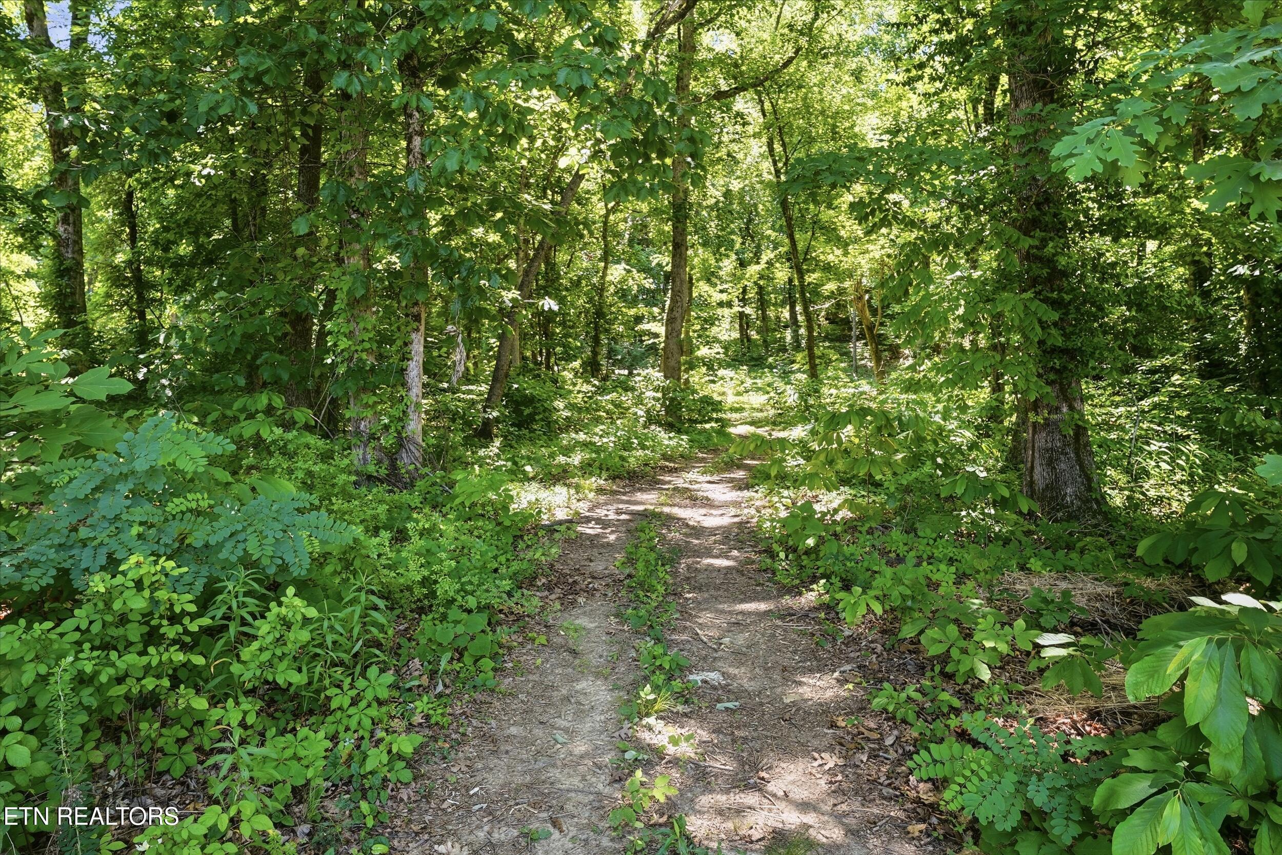 Fort Loudoun and Tellico Lake Real Estate - Image# 16