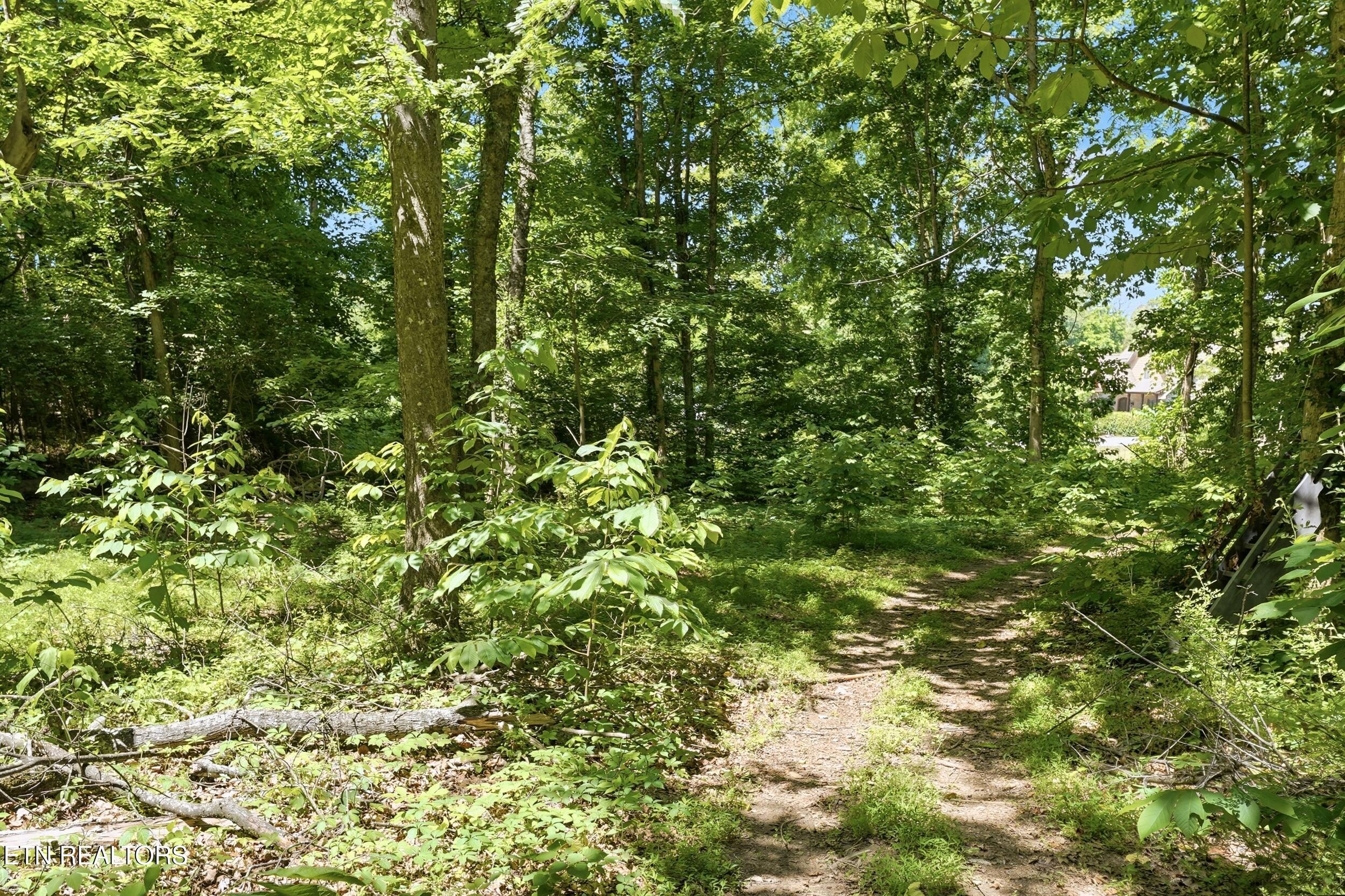 Fort Loudoun and Tellico Lake Real Estate - Image# 17