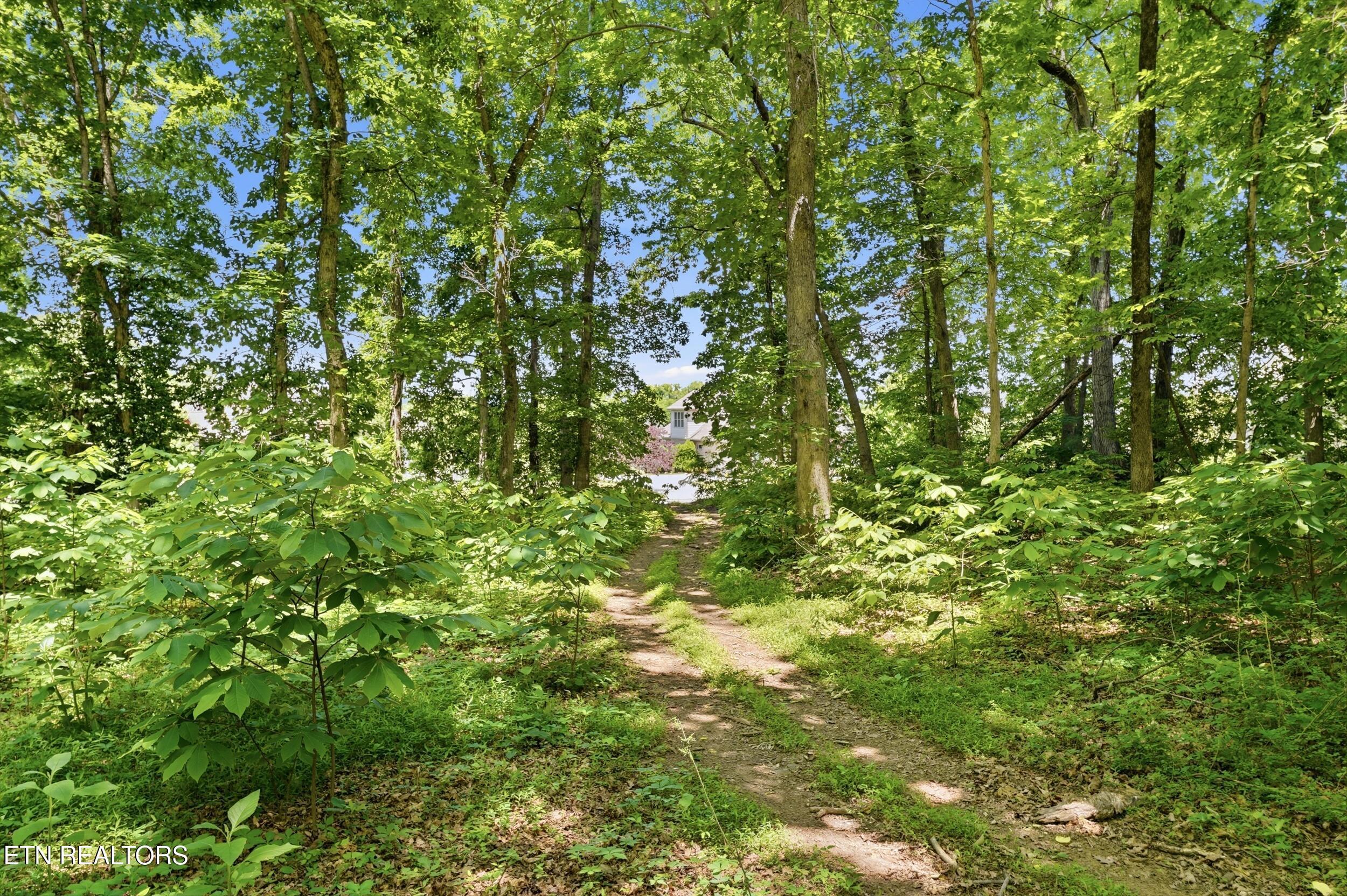 Fort Loudoun and Tellico Lake Real Estate - Image# 18