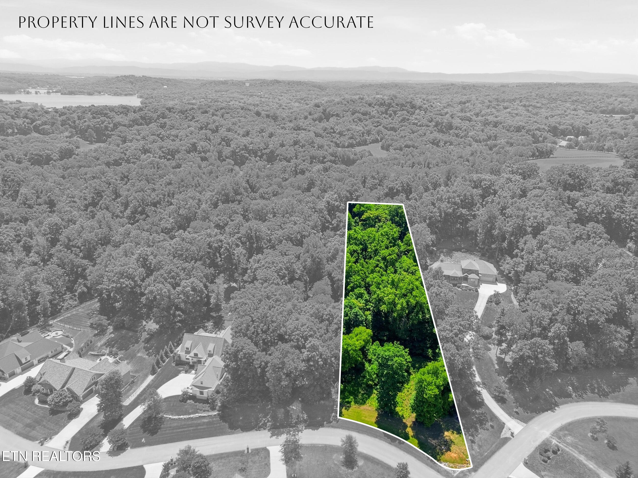 Fort Loudoun and Tellico Lake Real Estate - Image# 2