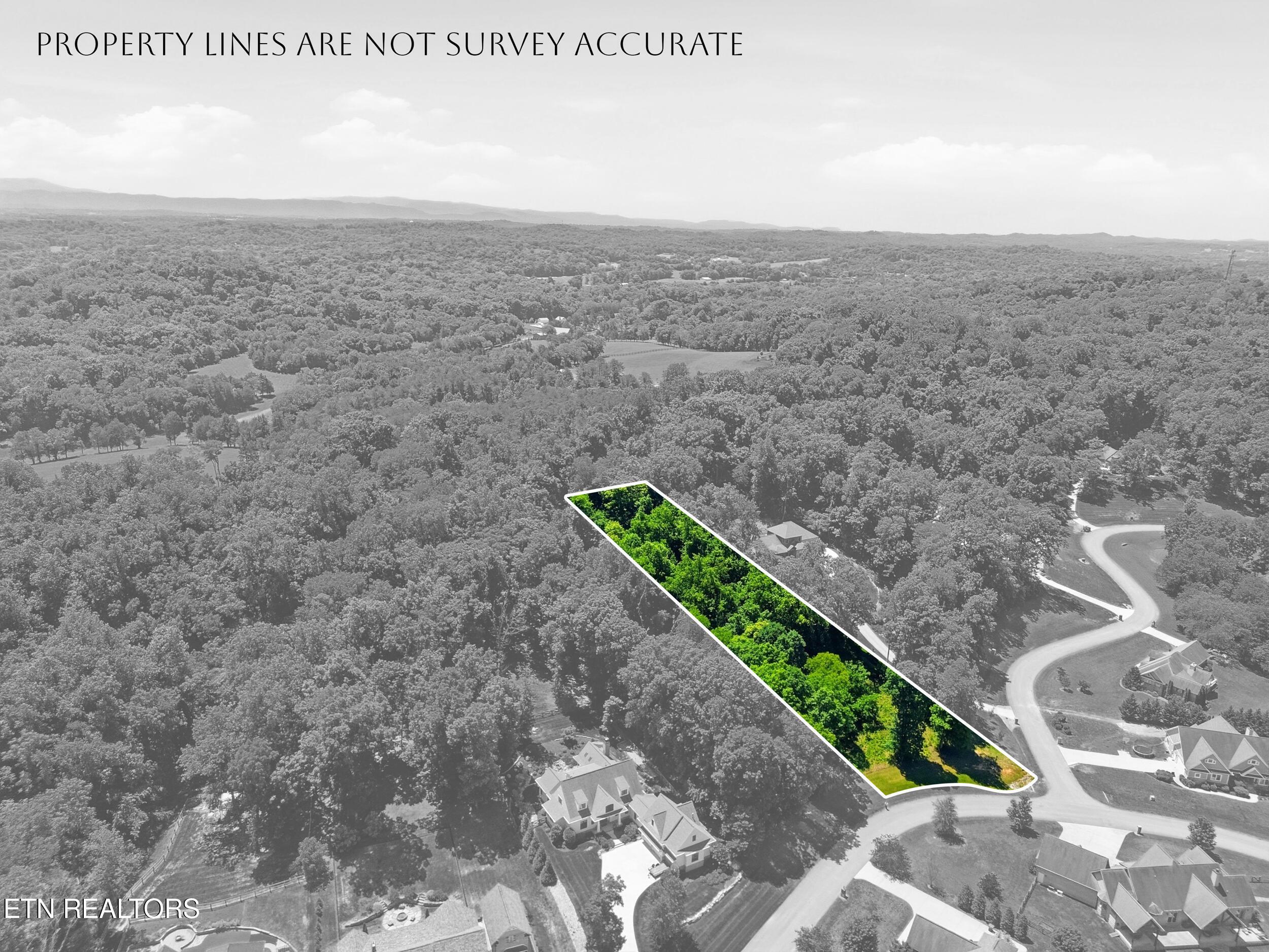 Fort Loudoun and Tellico Lake Real Estate - Image# 6