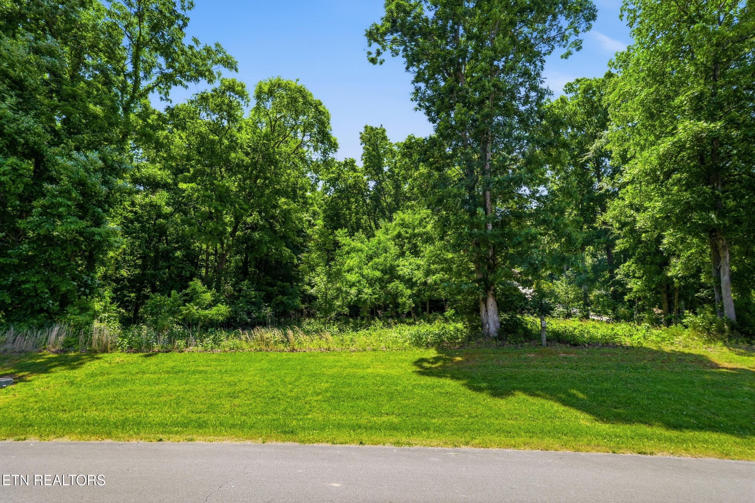 Fort Loudoun and Tellico Lake Real Estate - Image# 15