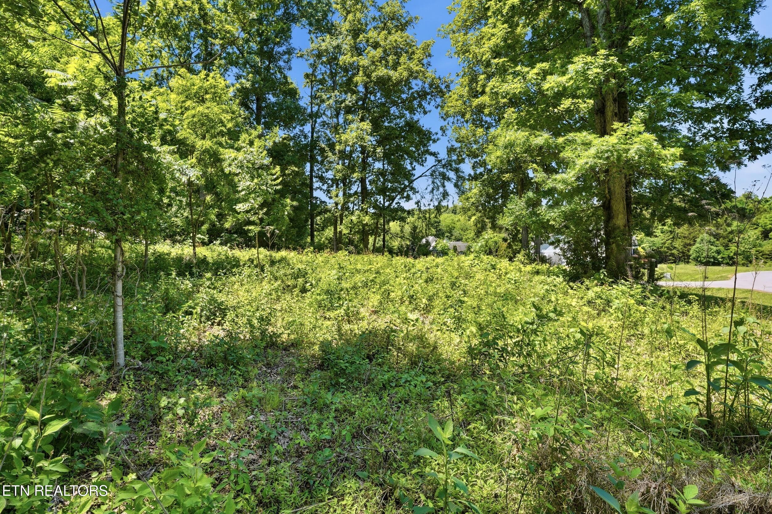 Fort Loudoun and Tellico Lake Real Estate - Image# 17