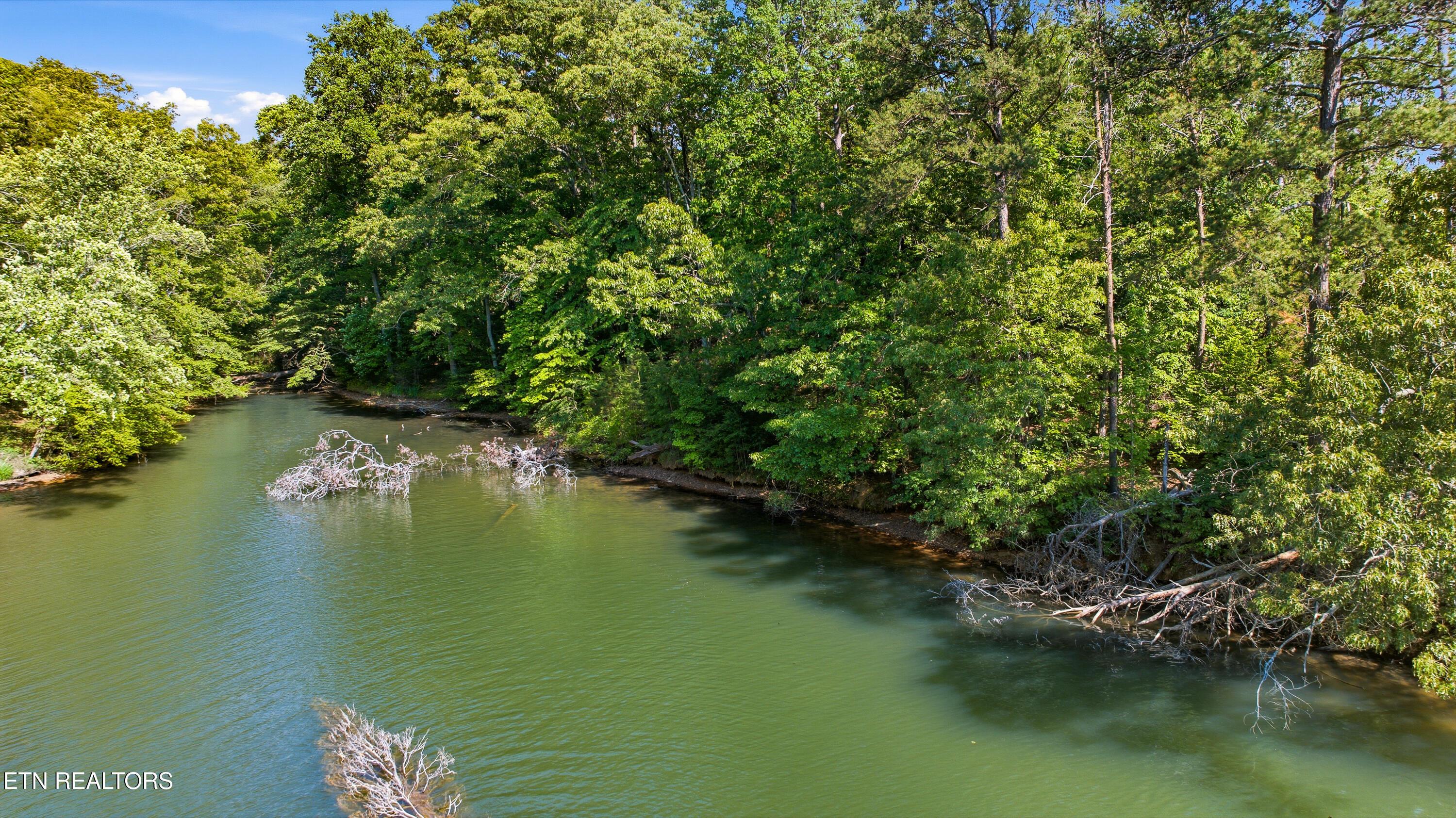 Fort Loudoun and Tellico Lake Real Estate - Image# 4