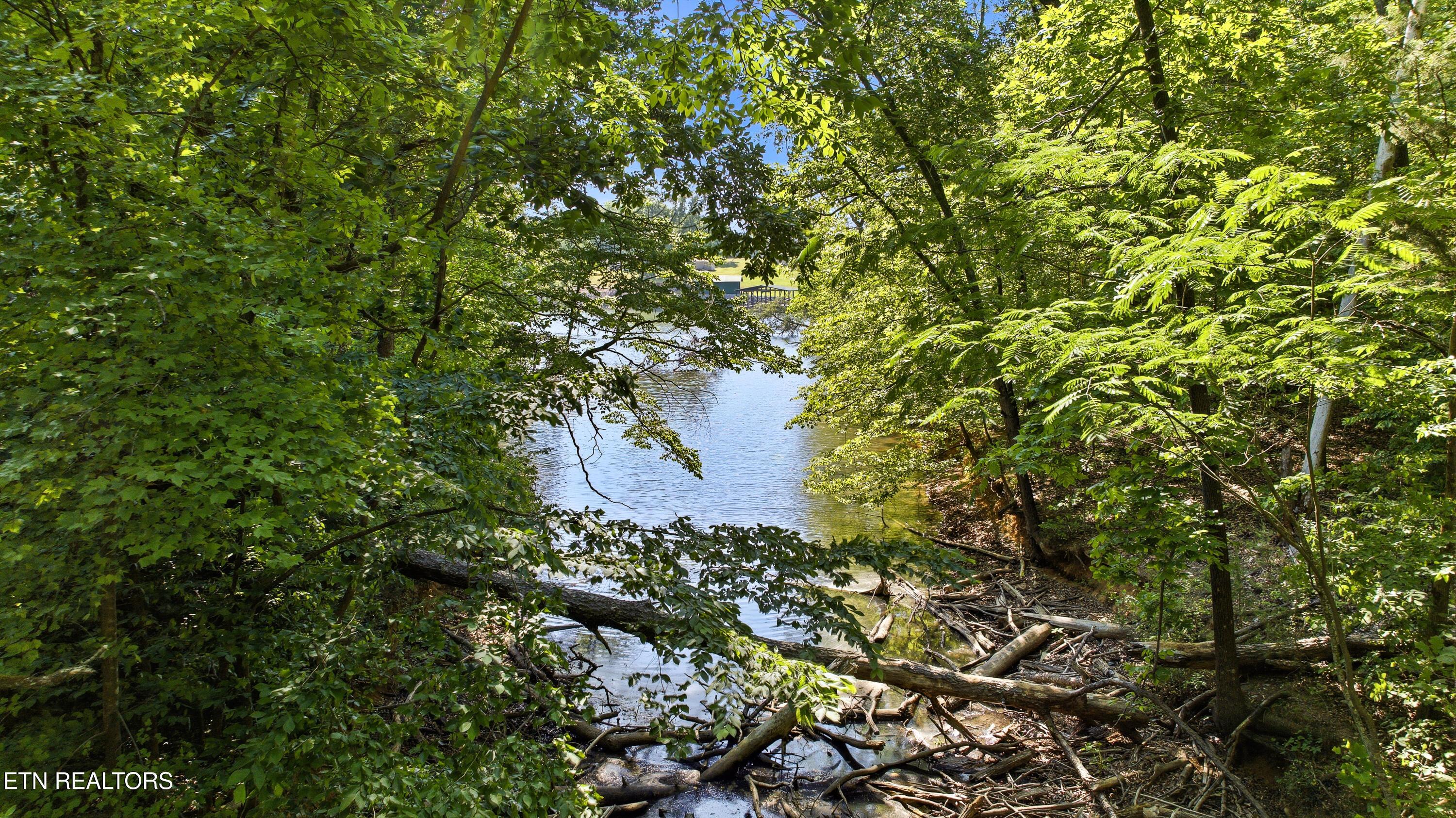 Fort Loudoun and Tellico Lake Real Estate - Image# 5