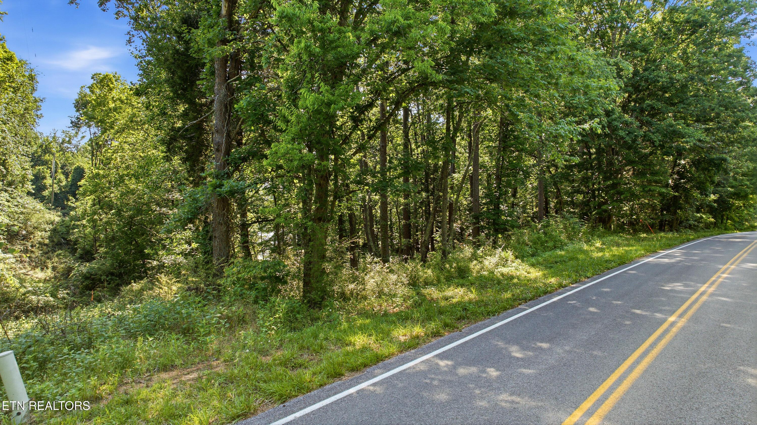 Fort Loudoun and Tellico Lake Real Estate - Image# 7