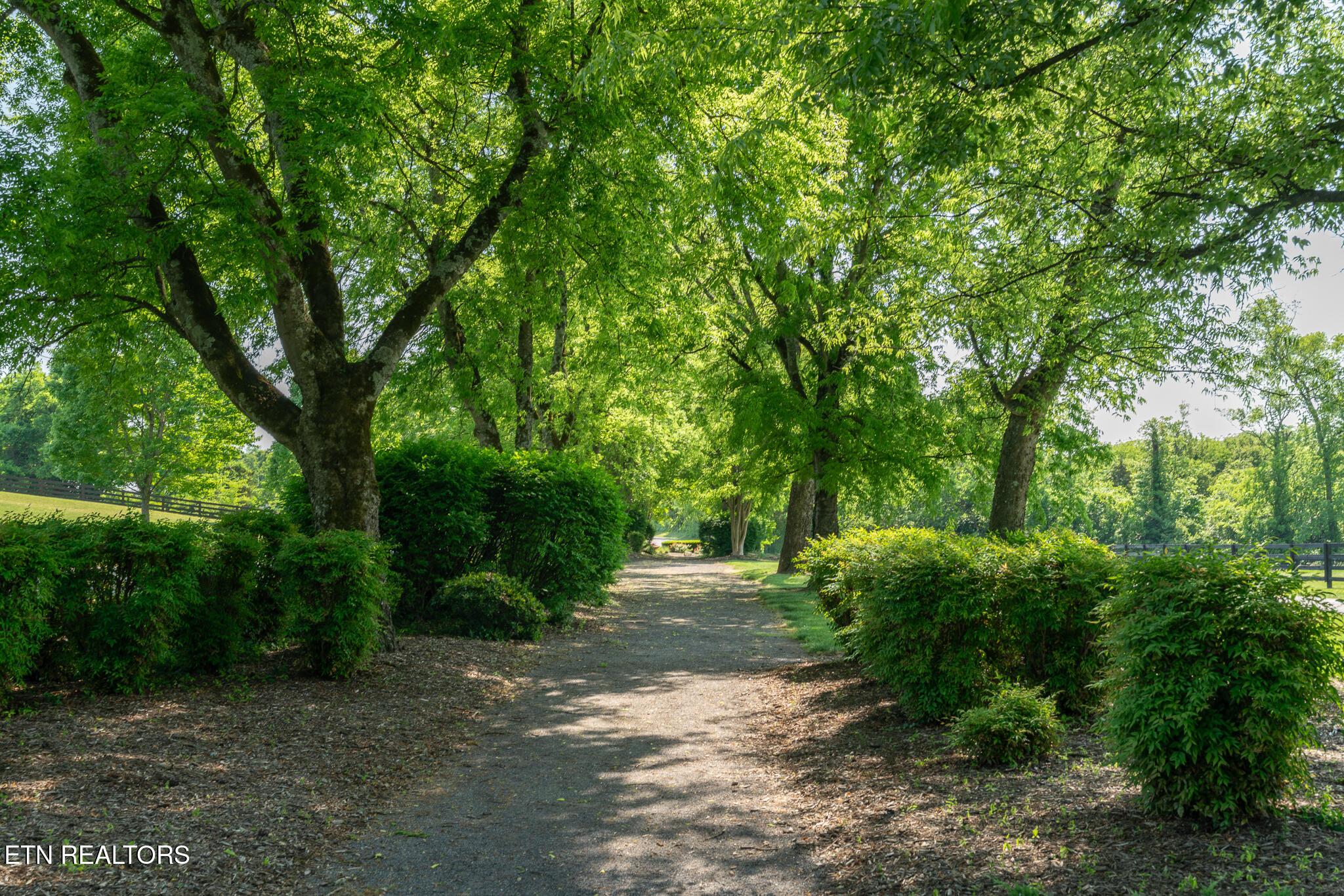 3836 Attley Drive, Louisville, TN - Fort Loudoun and Tellico Lake Real Estate - Image# 20