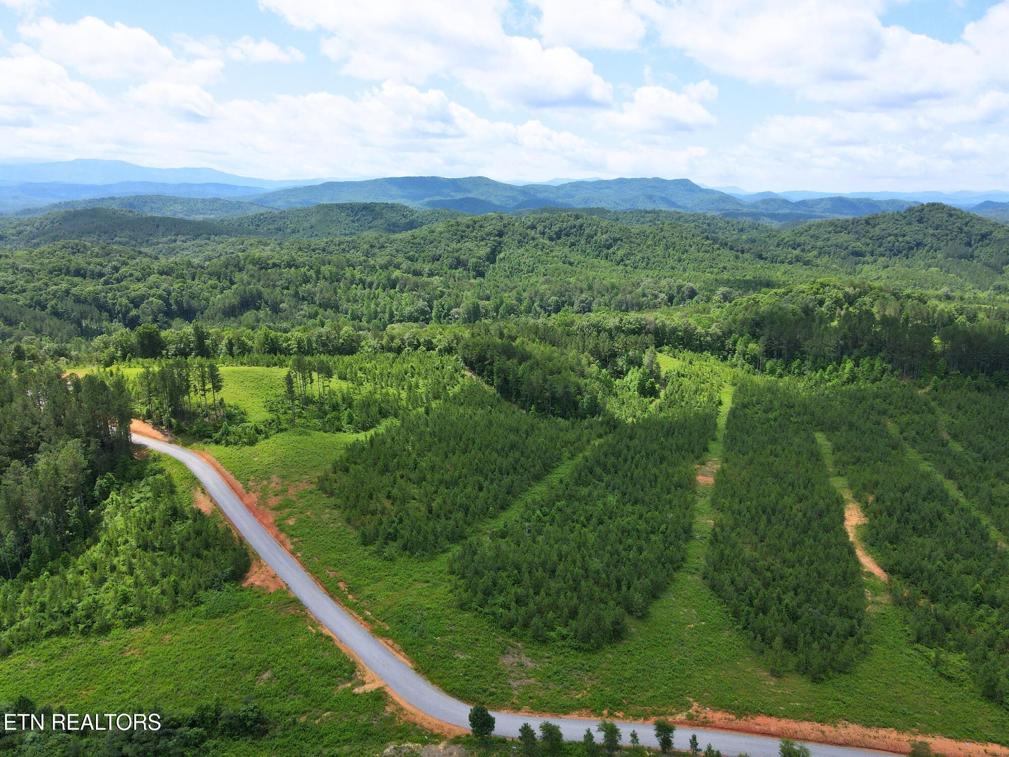 Lot 54 Three Point Rd, Vonore, TN - Fort Loudoun and Tellico Lake Real Estate - Image# 5