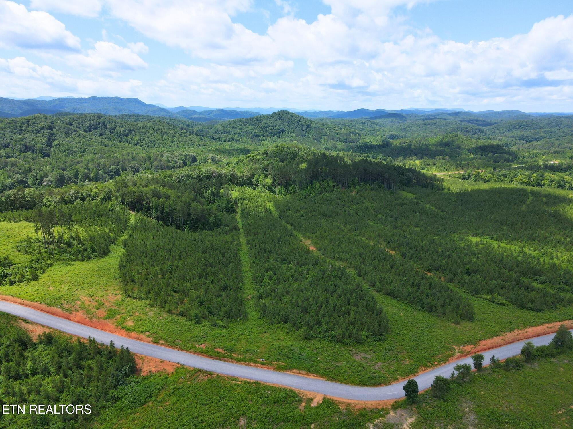 Lot 54 Three Point Rd, Vonore, TN - Fort Loudoun and Tellico Lake Real Estate - Image# 6