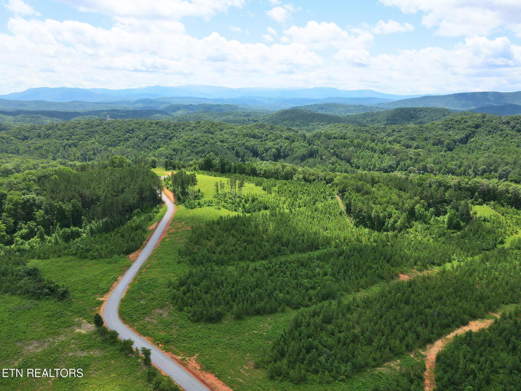 Lot 54 Three Point Rd, Vonore, TN - Fort Loudoun and Tellico Lake Real Estate - Image# 8