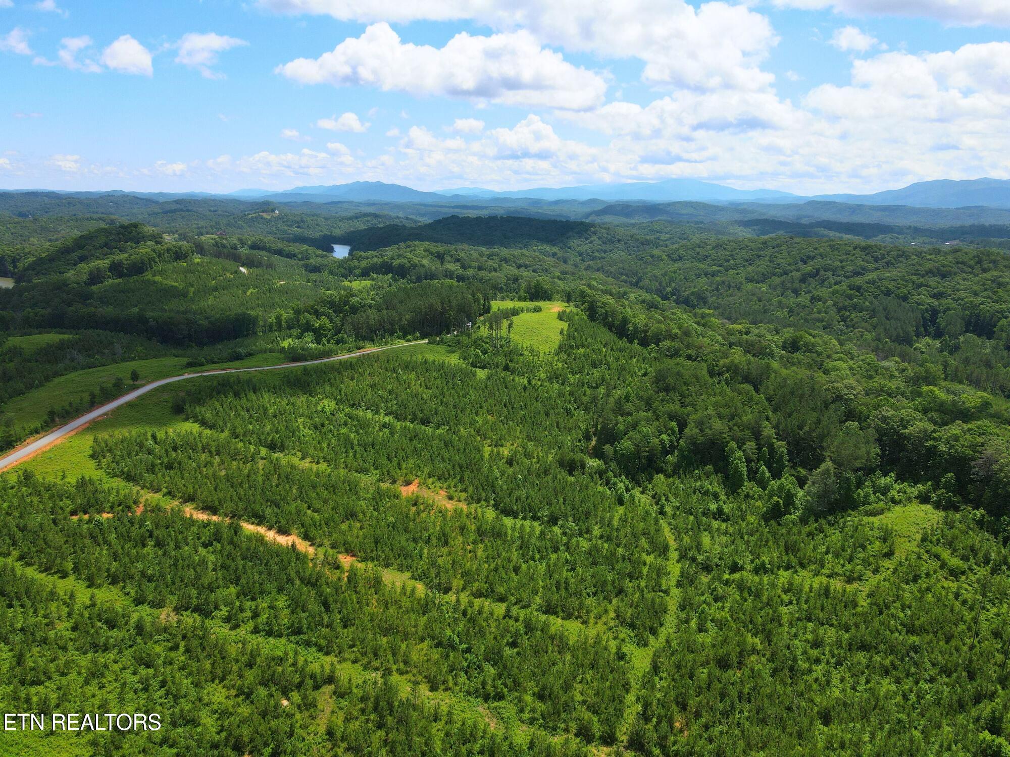 Lot 54 Three Point Rd, Vonore, TN - Fort Loudoun and Tellico Lake Real Estate - Image# 11