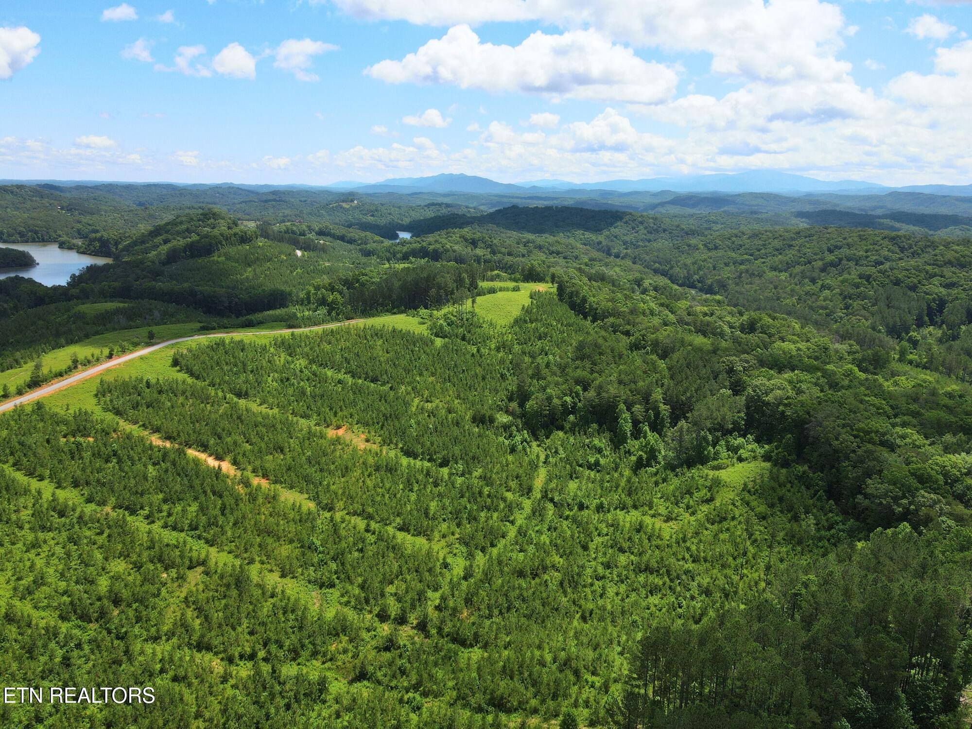 Lot 54 Three Point Rd, Vonore, TN - Fort Loudoun and Tellico Lake Real Estate - Image# 12