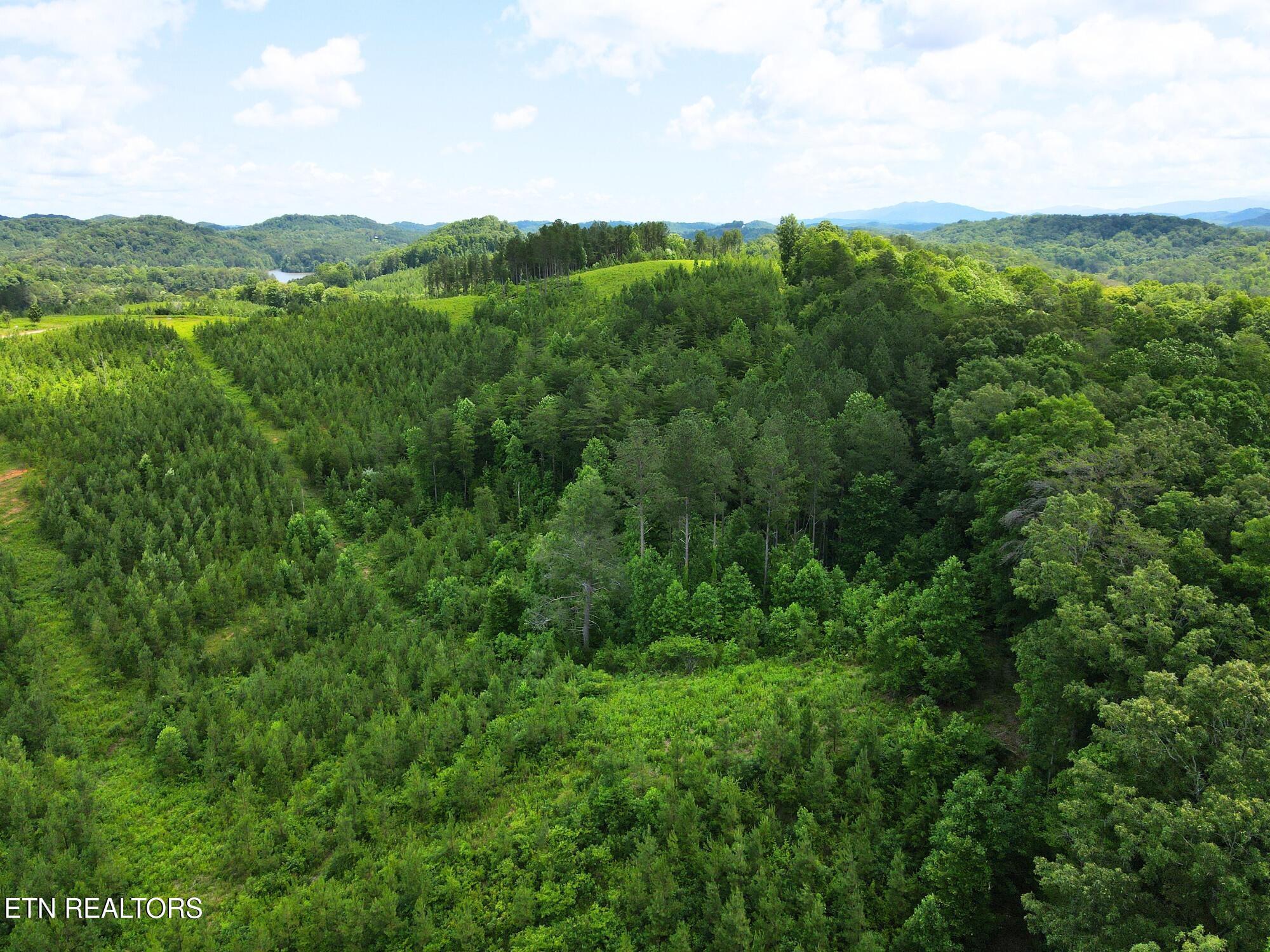 Lot 54 Three Point Rd, Vonore, TN - Fort Loudoun and Tellico Lake Real Estate - Image# 3
