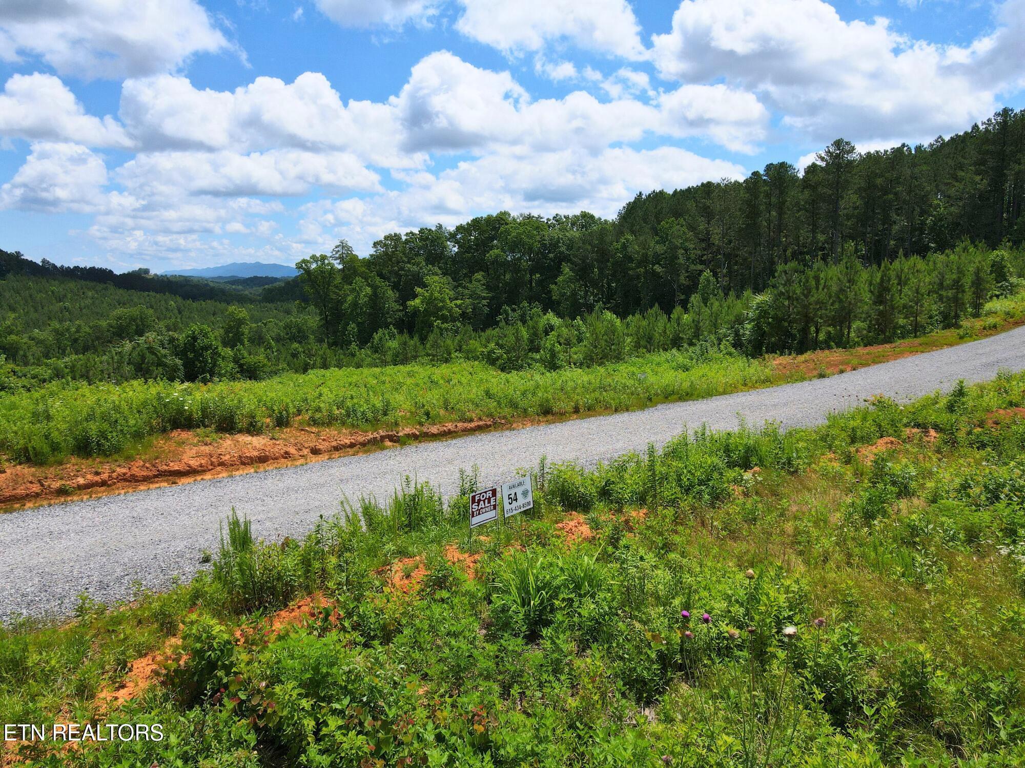 Lot 54 Three Point Rd, Vonore, TN - Fort Loudoun and Tellico Lake Real Estate - Image# 4