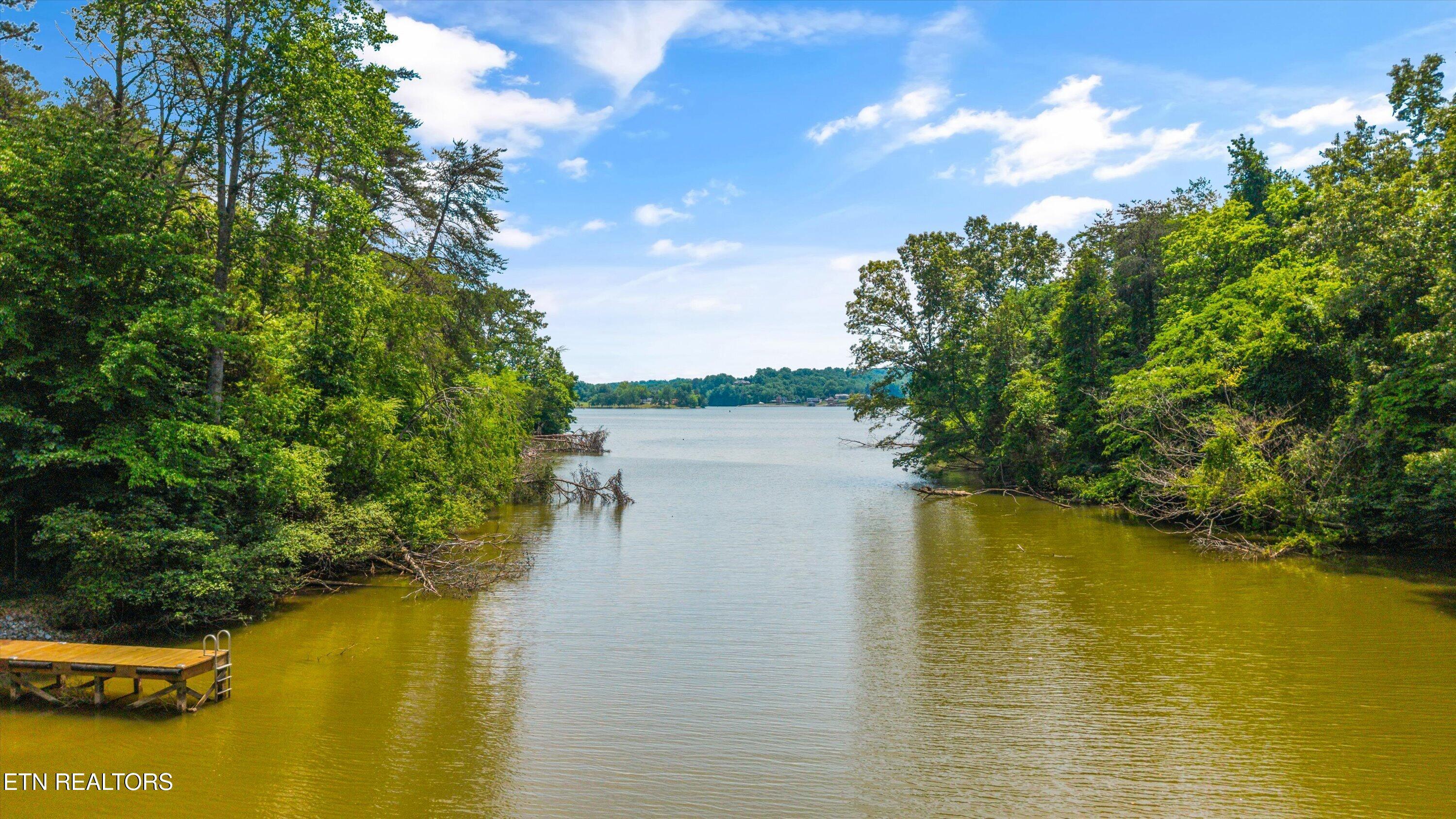 2533 Woodland Reserve Lane, Knoxville, TN - Fort Loudoun and Tellico Lake Real Estate - Image# 60