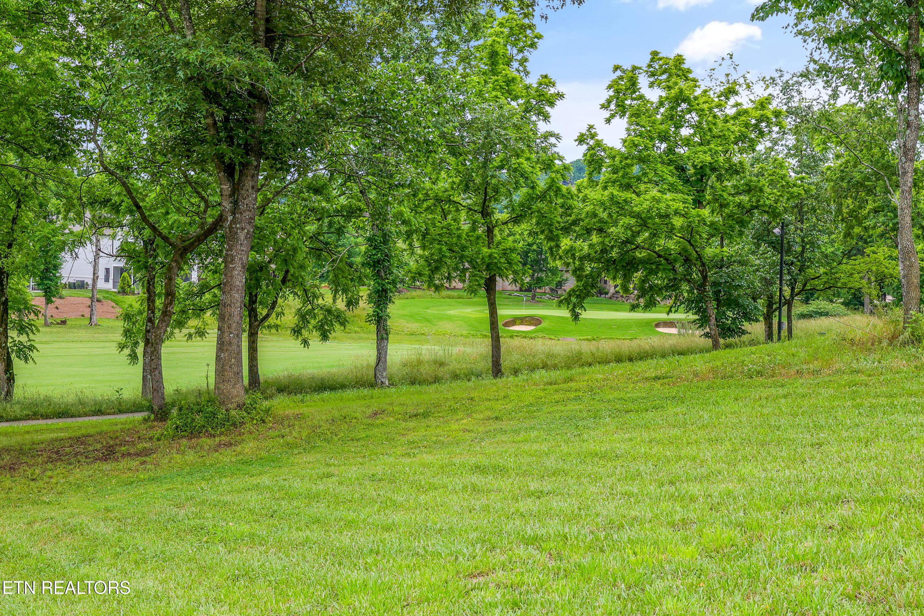 709 Mockingbird Lane, Loudon, TN - Fort Loudoun and Tellico Lake Real Estate - Image# 5