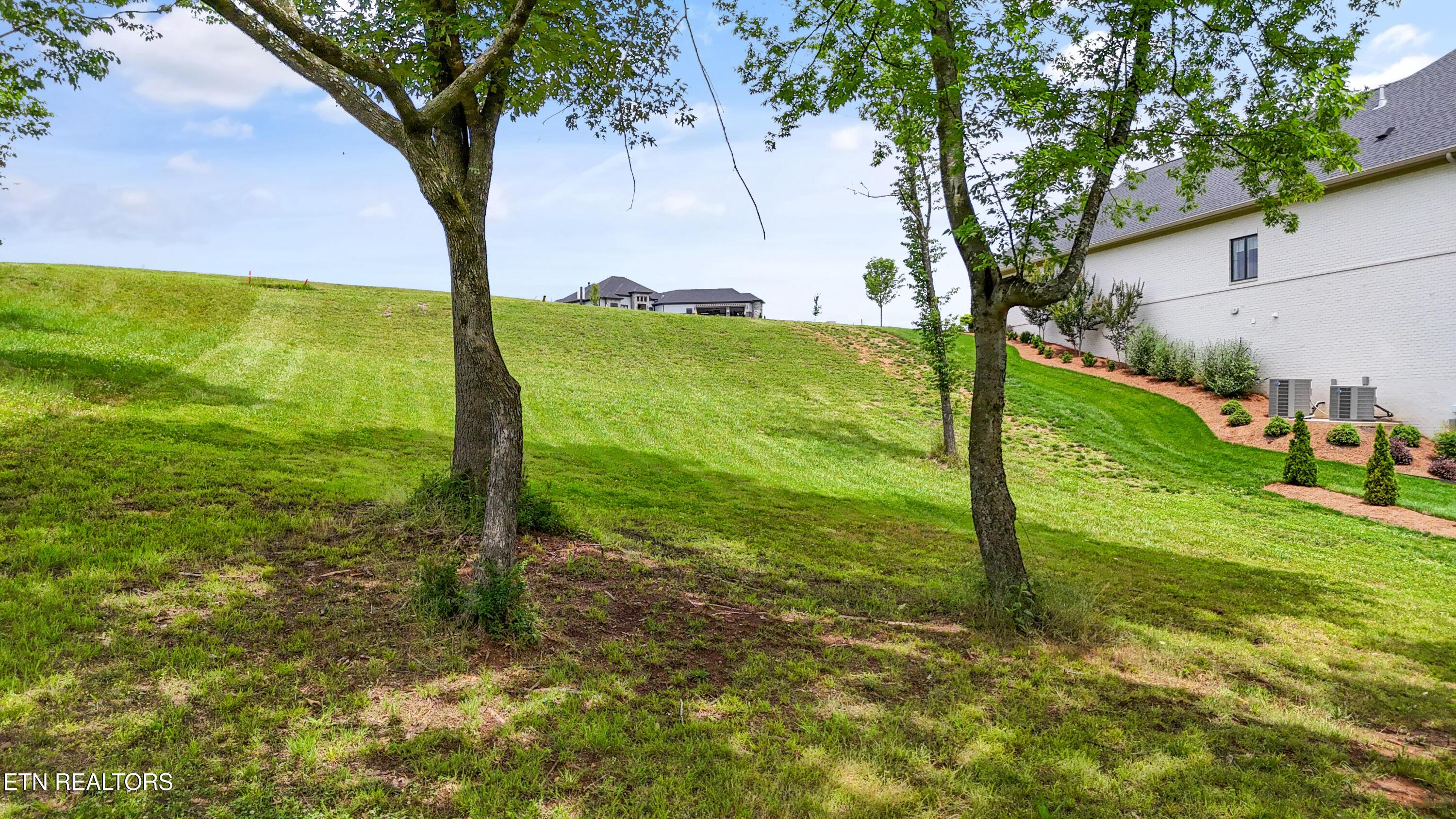 709 Mockingbird Lane, Loudon, TN - Fort Loudoun and Tellico Lake Real Estate - Image# 6